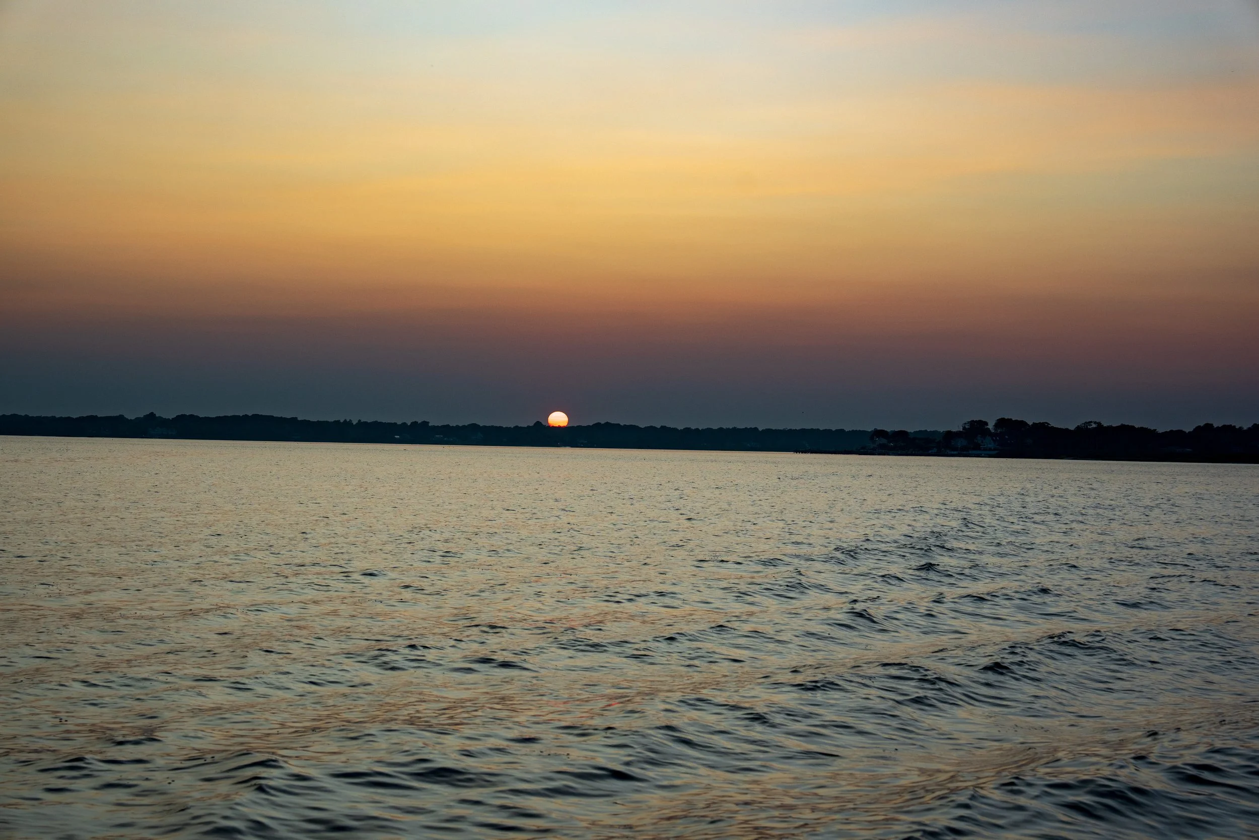 DSC04583.jpg