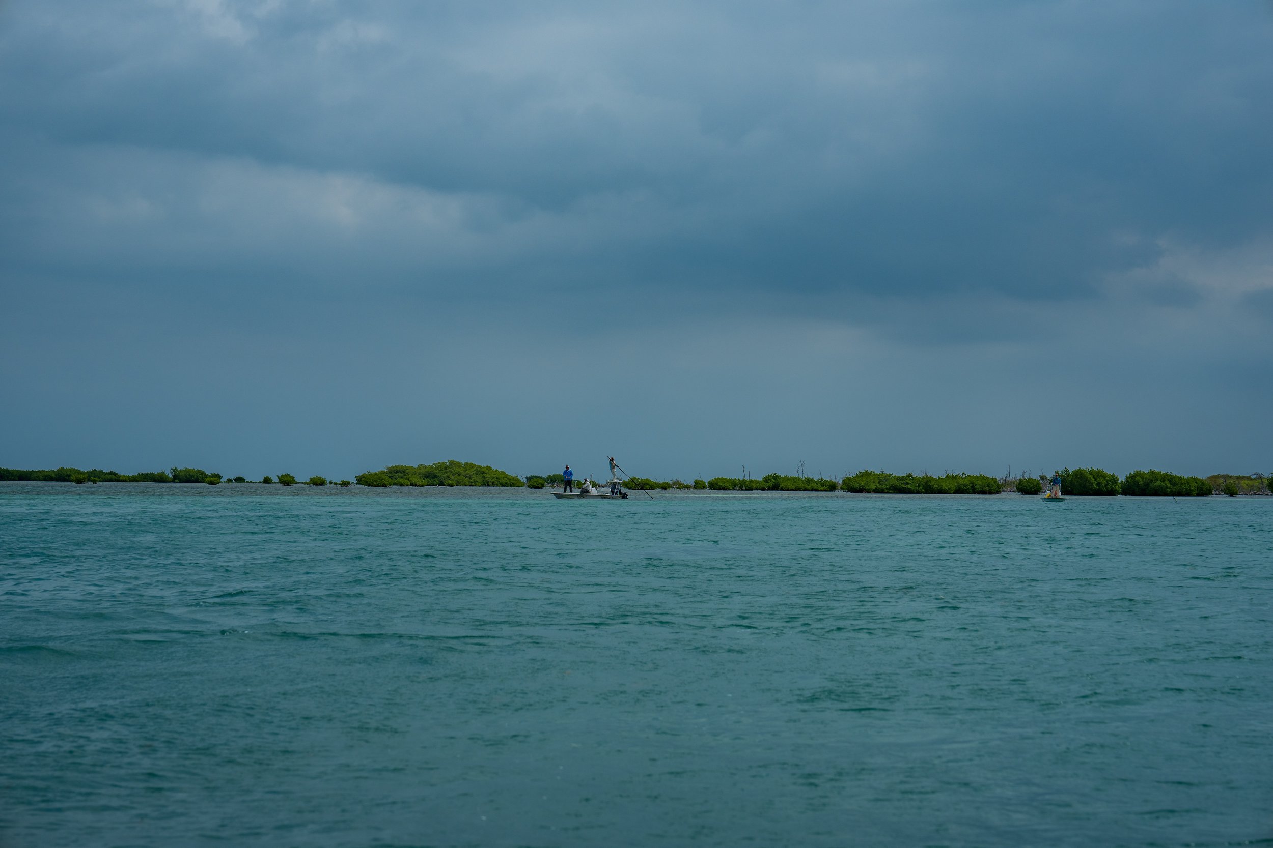 DSC09247.jpg