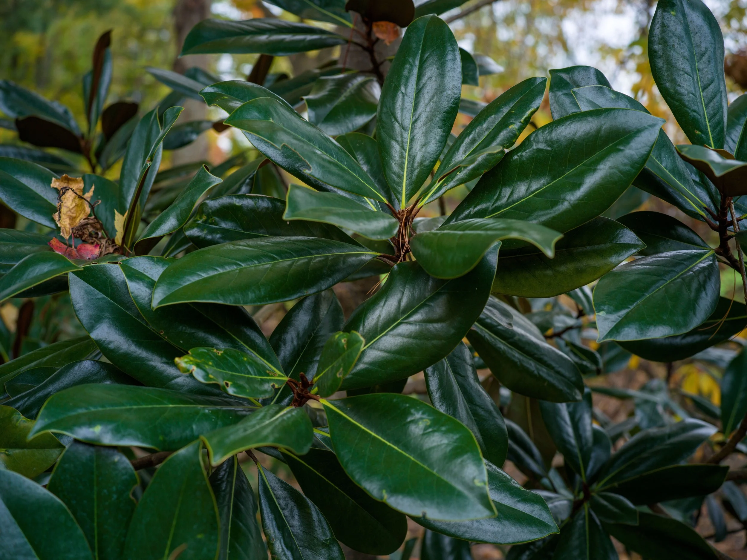 B0002420.jpg