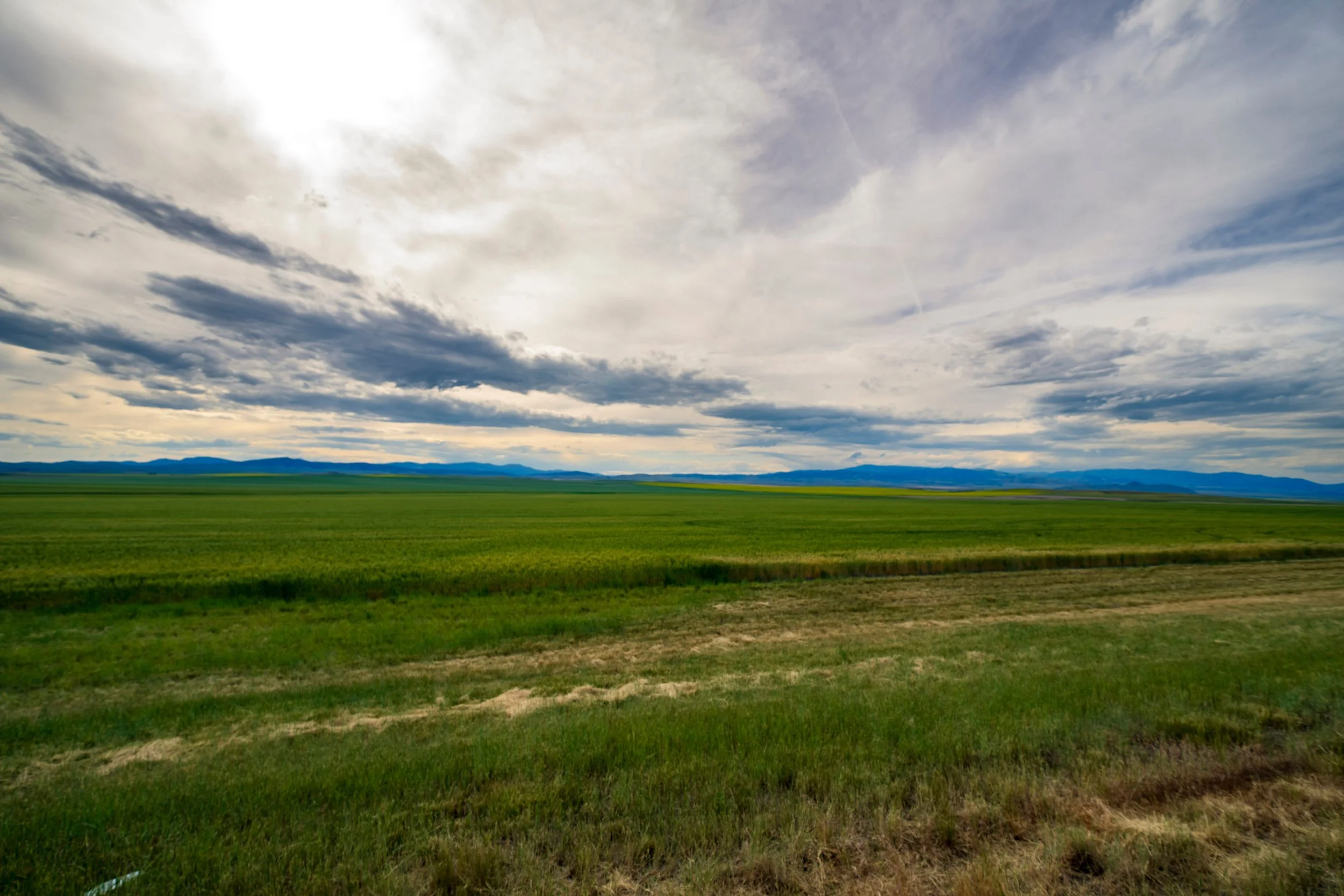 Wide meadow under a soft sky, Montana