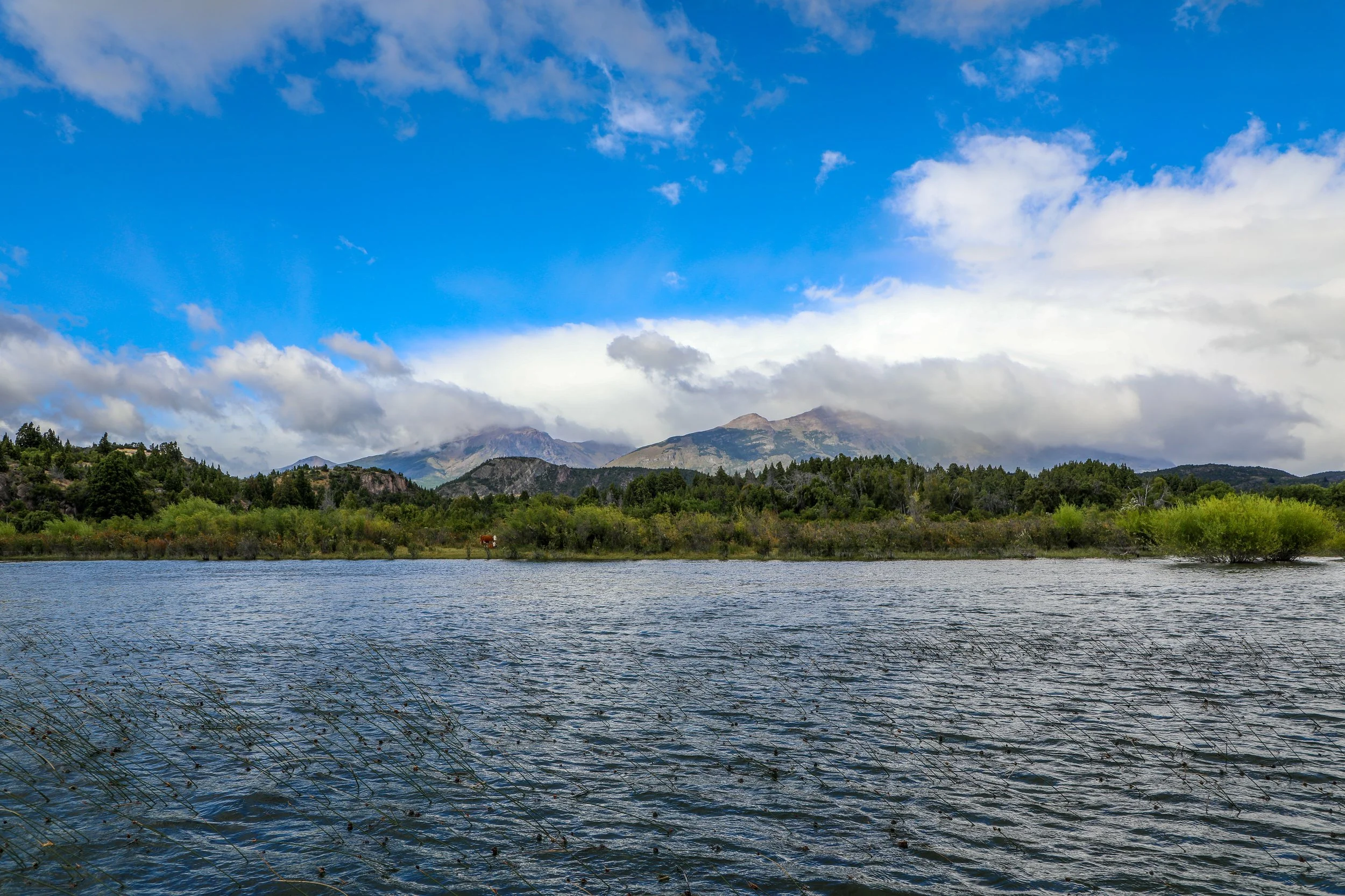Mirror-calm lakes and still rivers in Patagonia