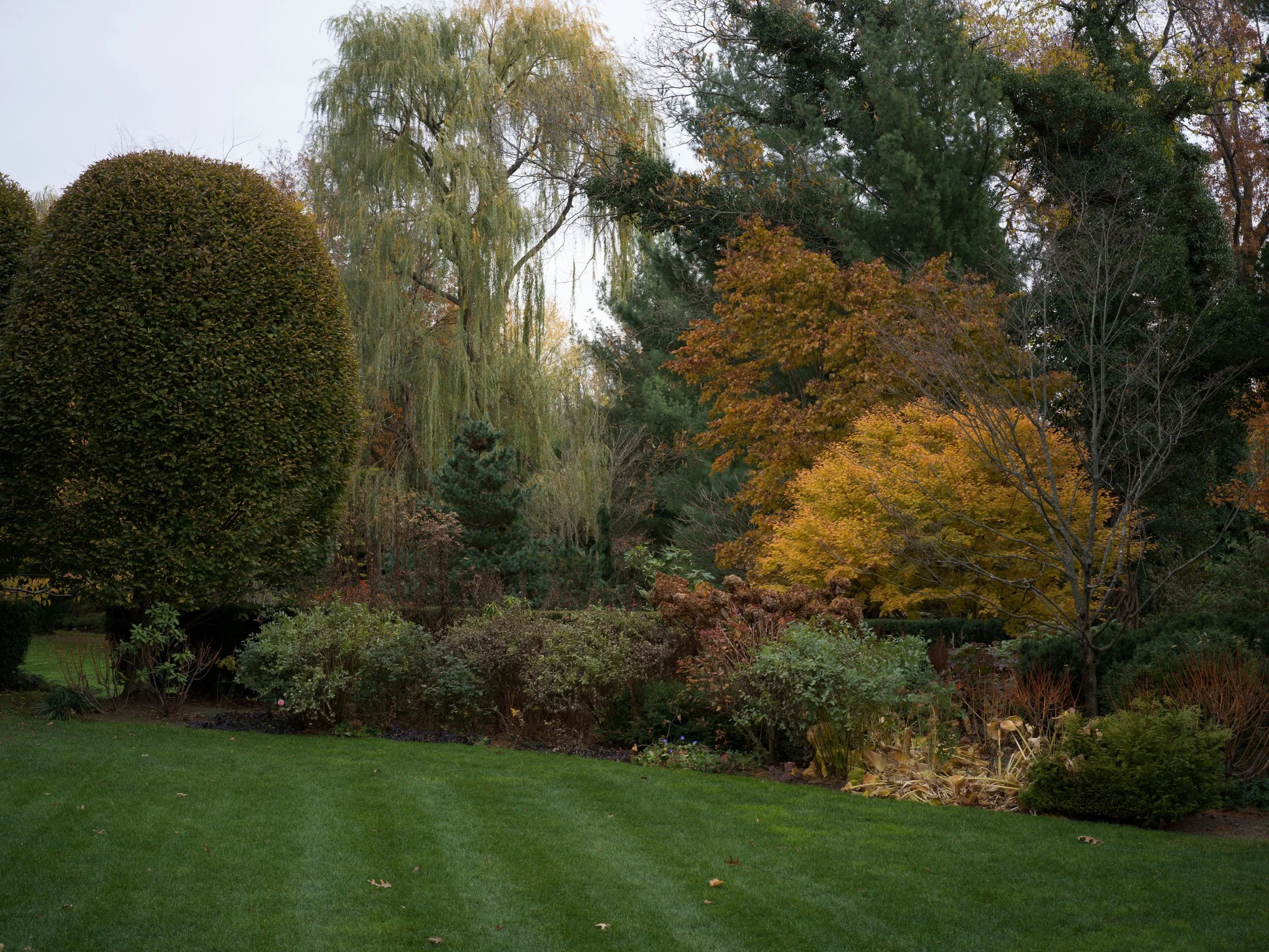 B0002338.jpg