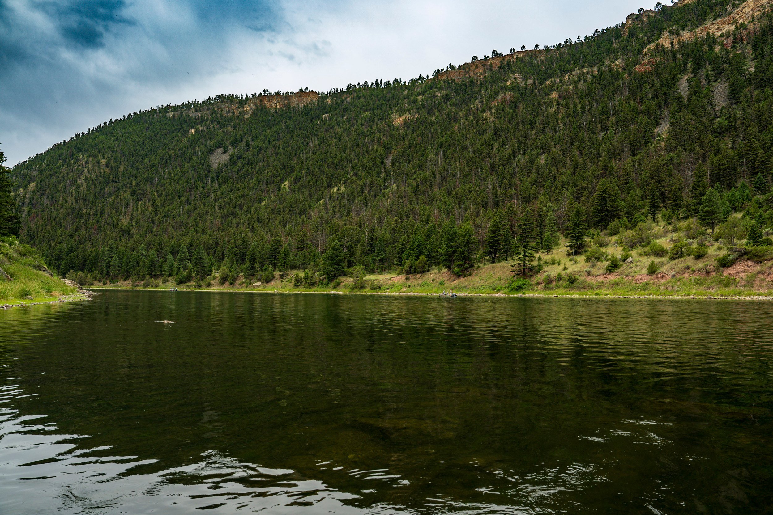 Forested slope above calm water, Montana
