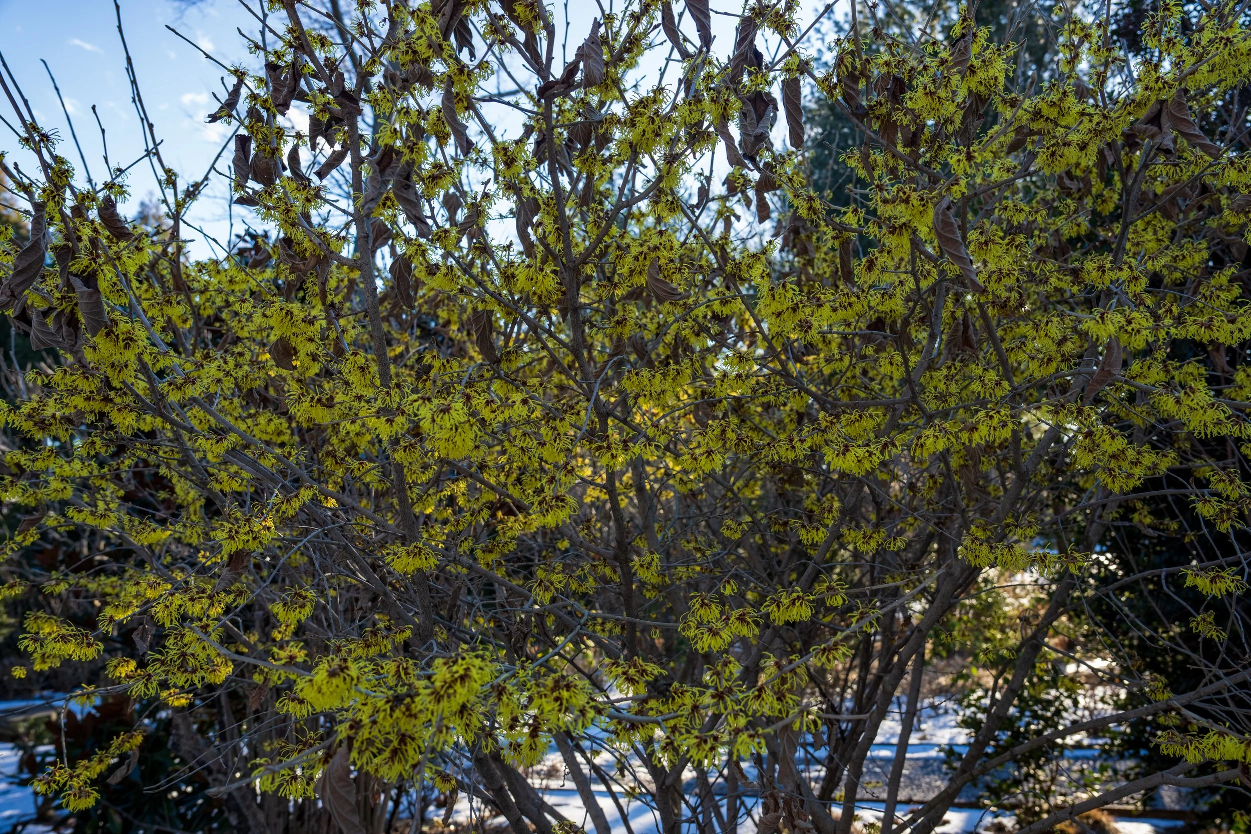 DSC08968.jpg