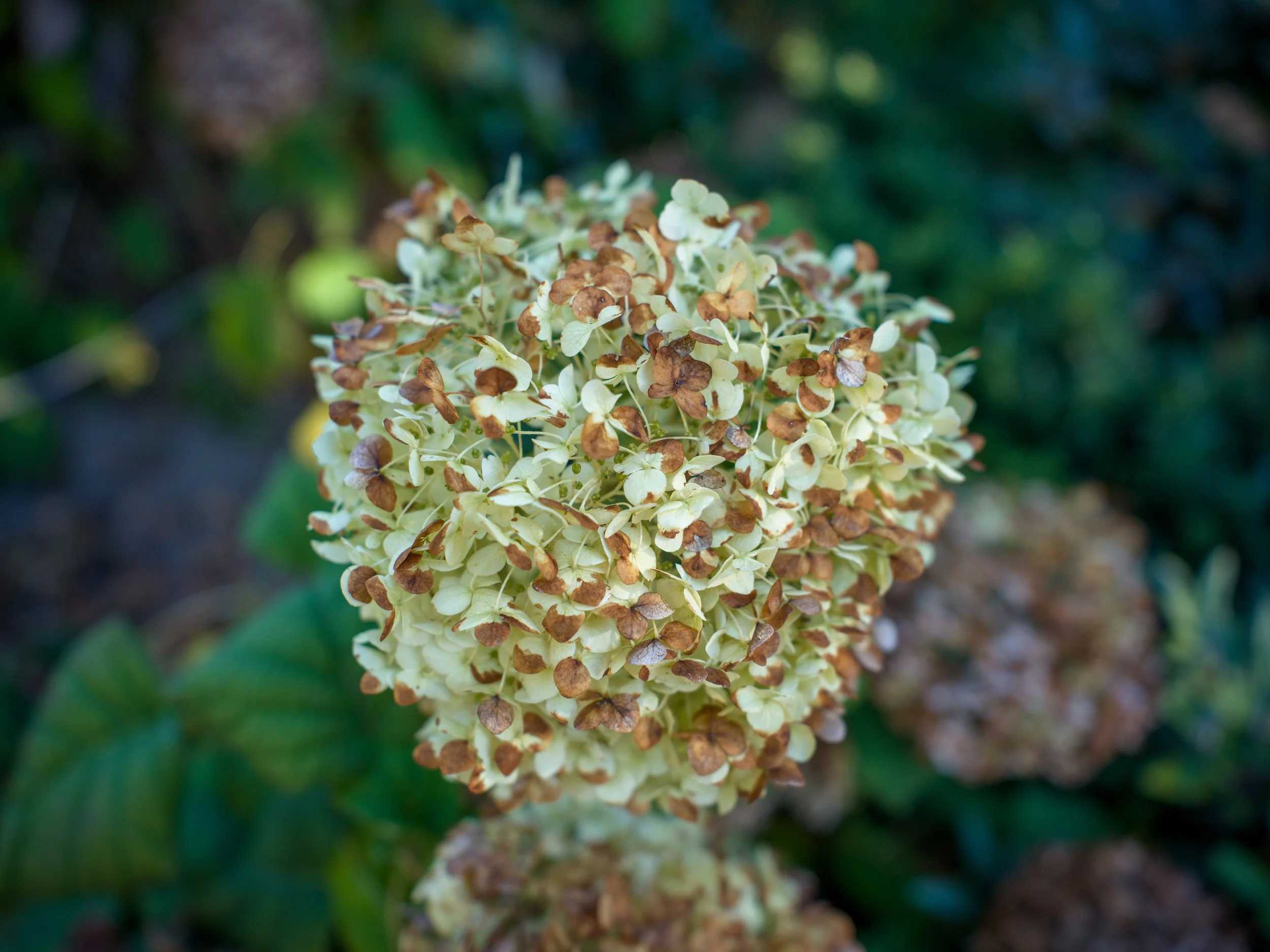 B0002144.jpg