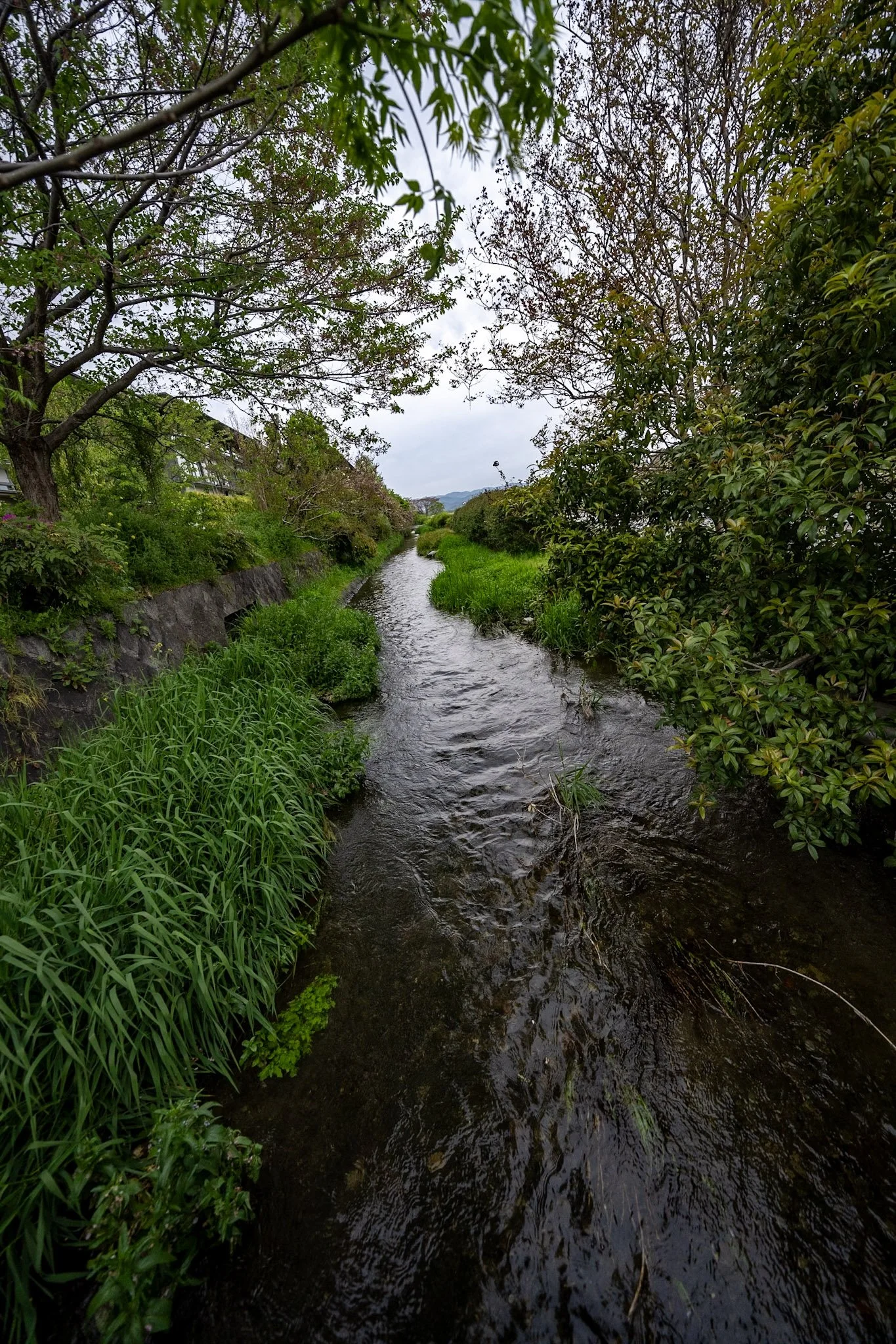 jp-54e8950fb3f6.jpg