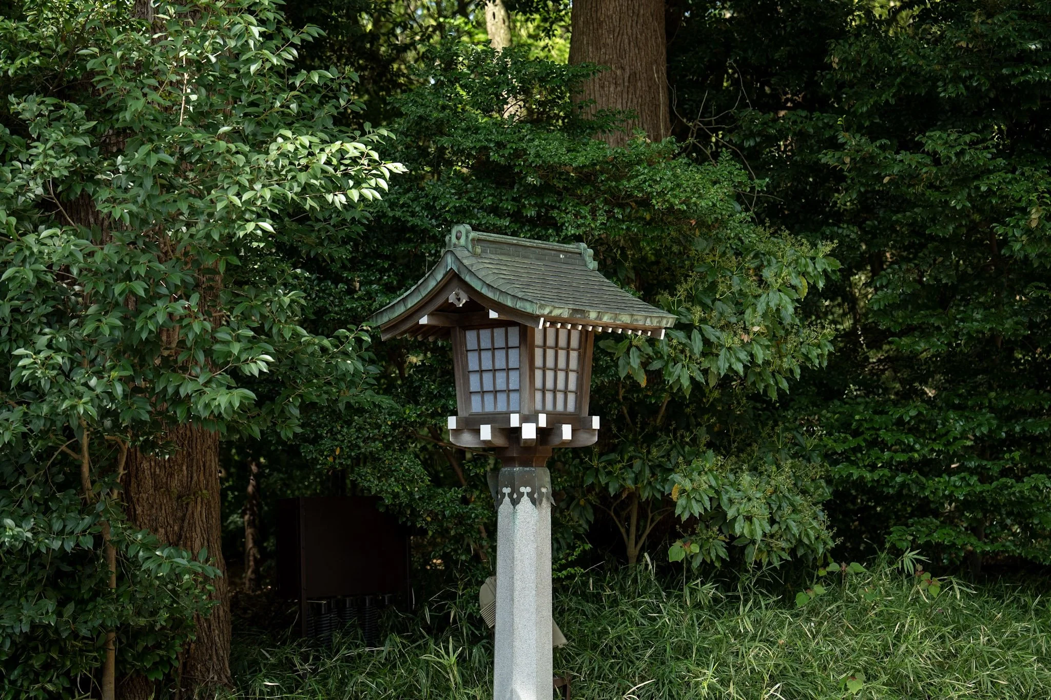 jp-b93389a14df8.jpg