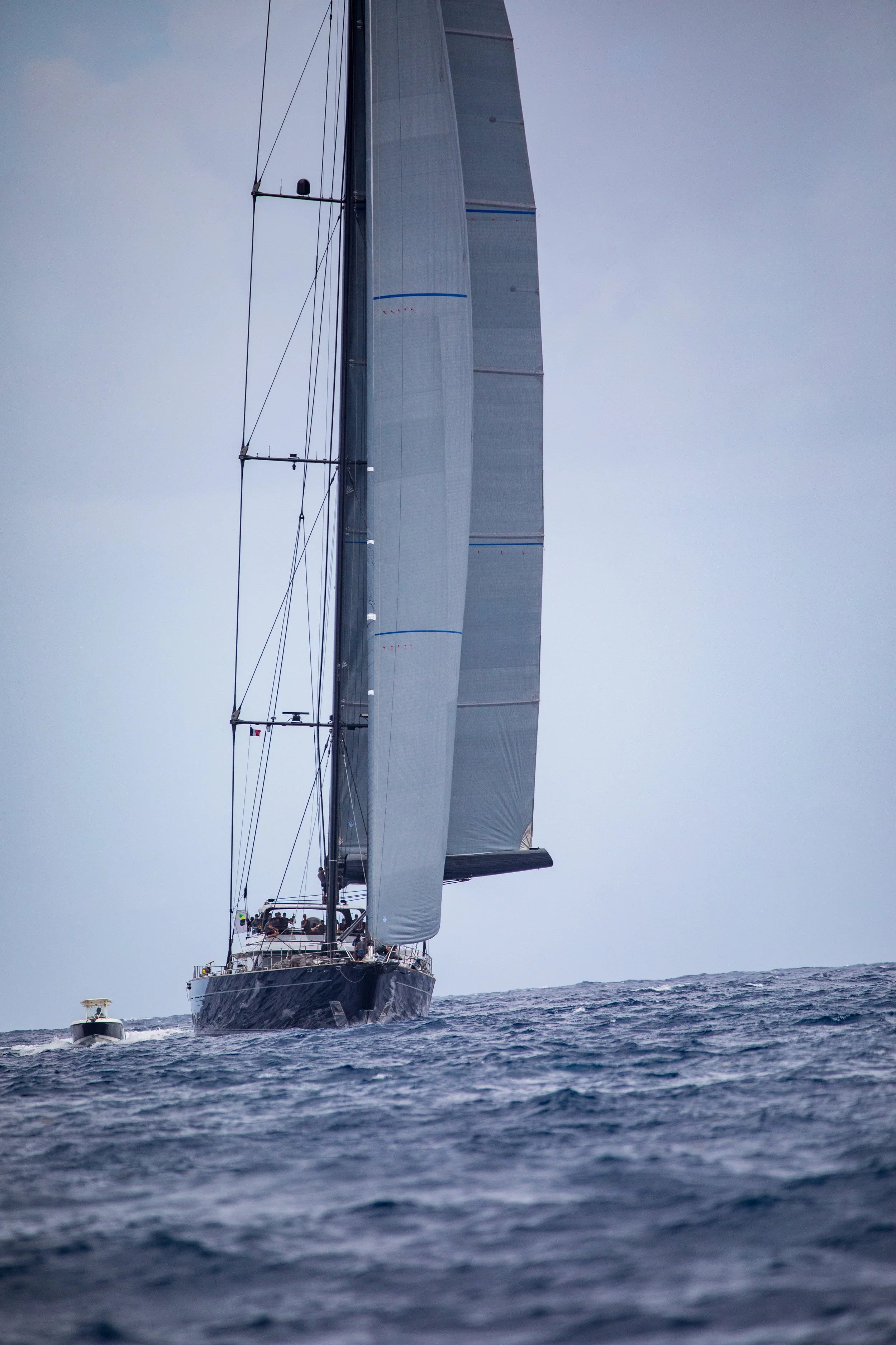 A13A4600.jpg