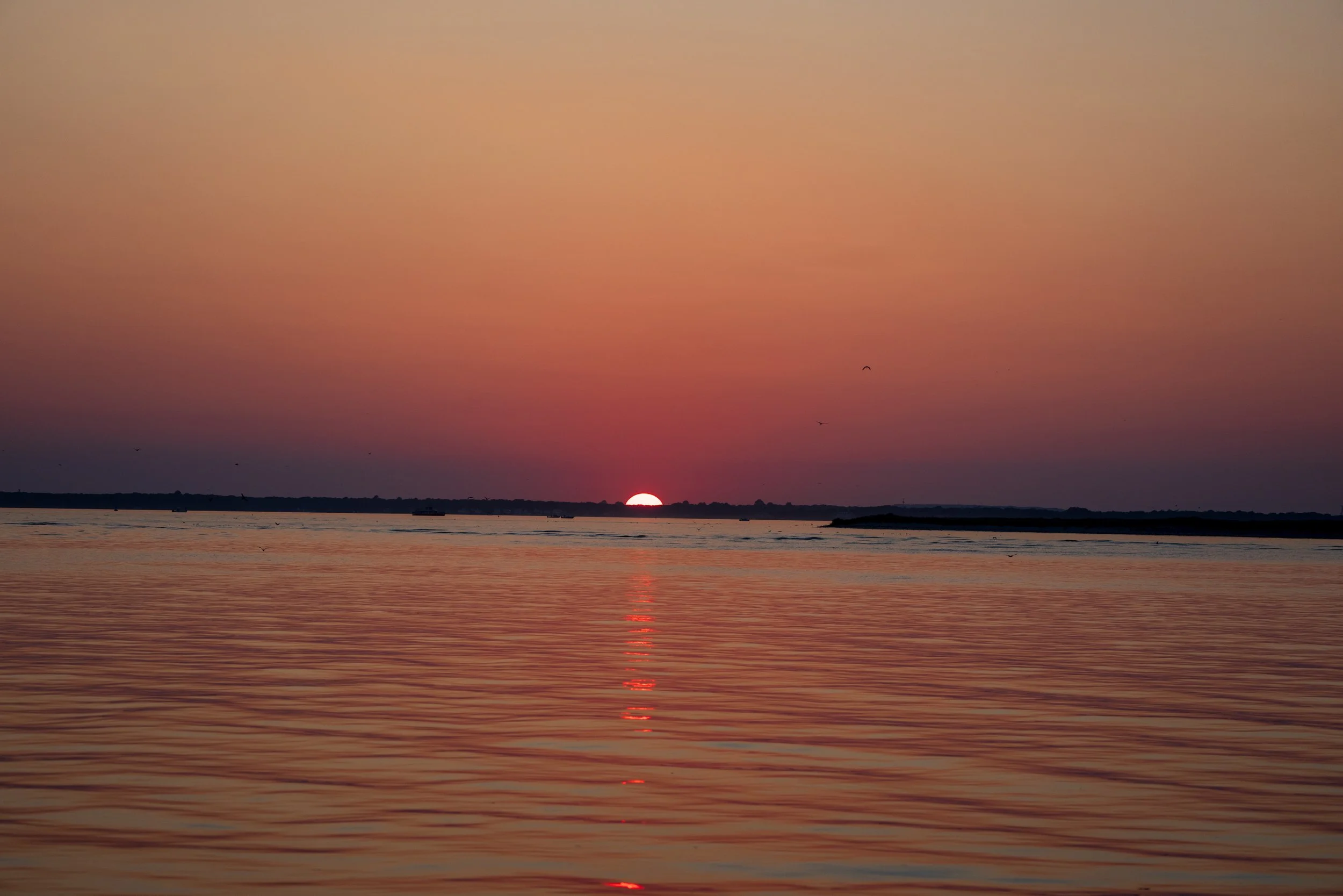 DSC00821.jpg