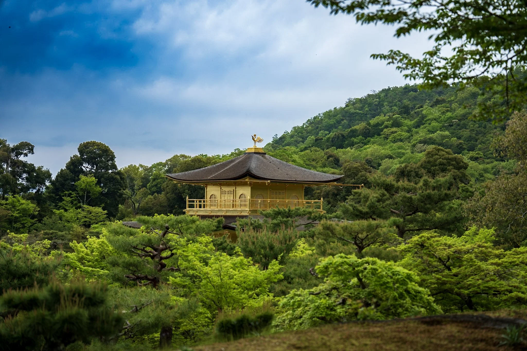 jp-abe572a2ee6f.jpg