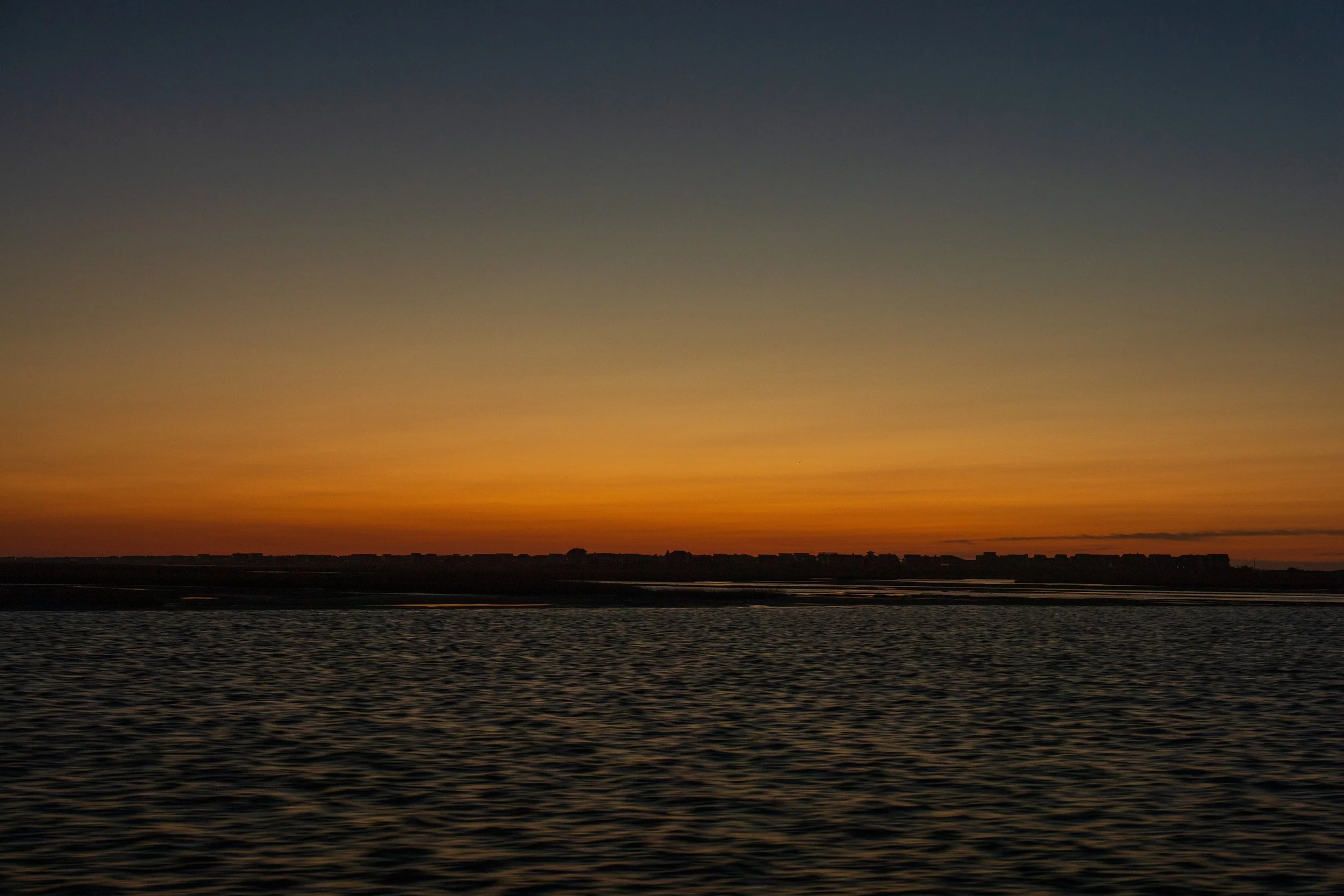 DSC07212.jpg