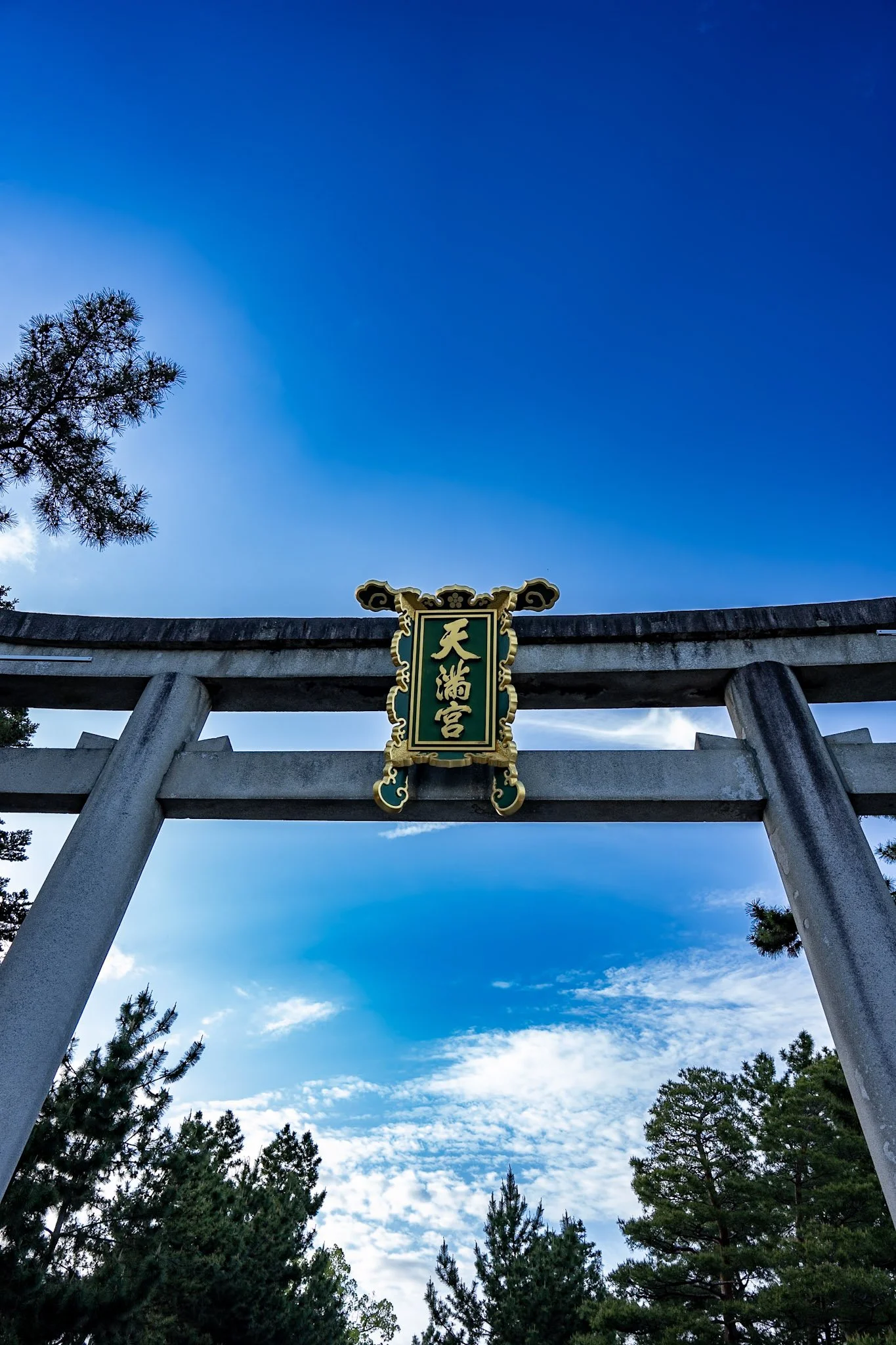 jp-82966539043f.jpg