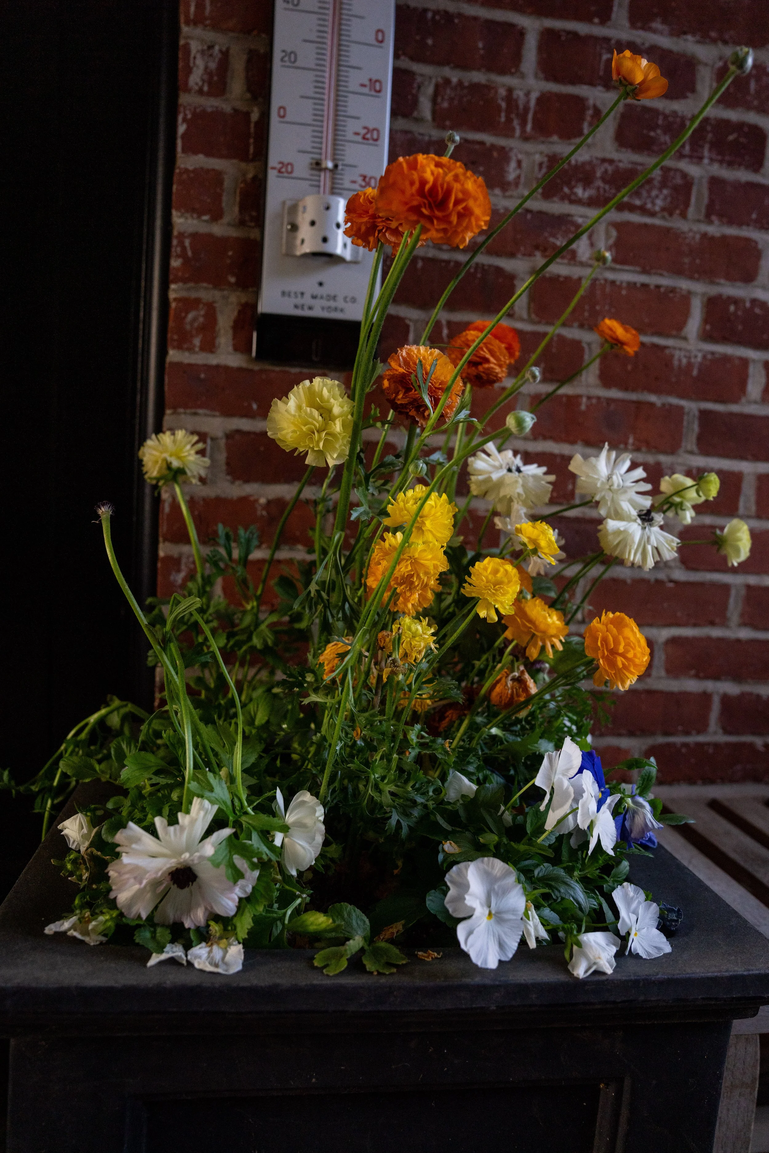 DSC00287.jpg