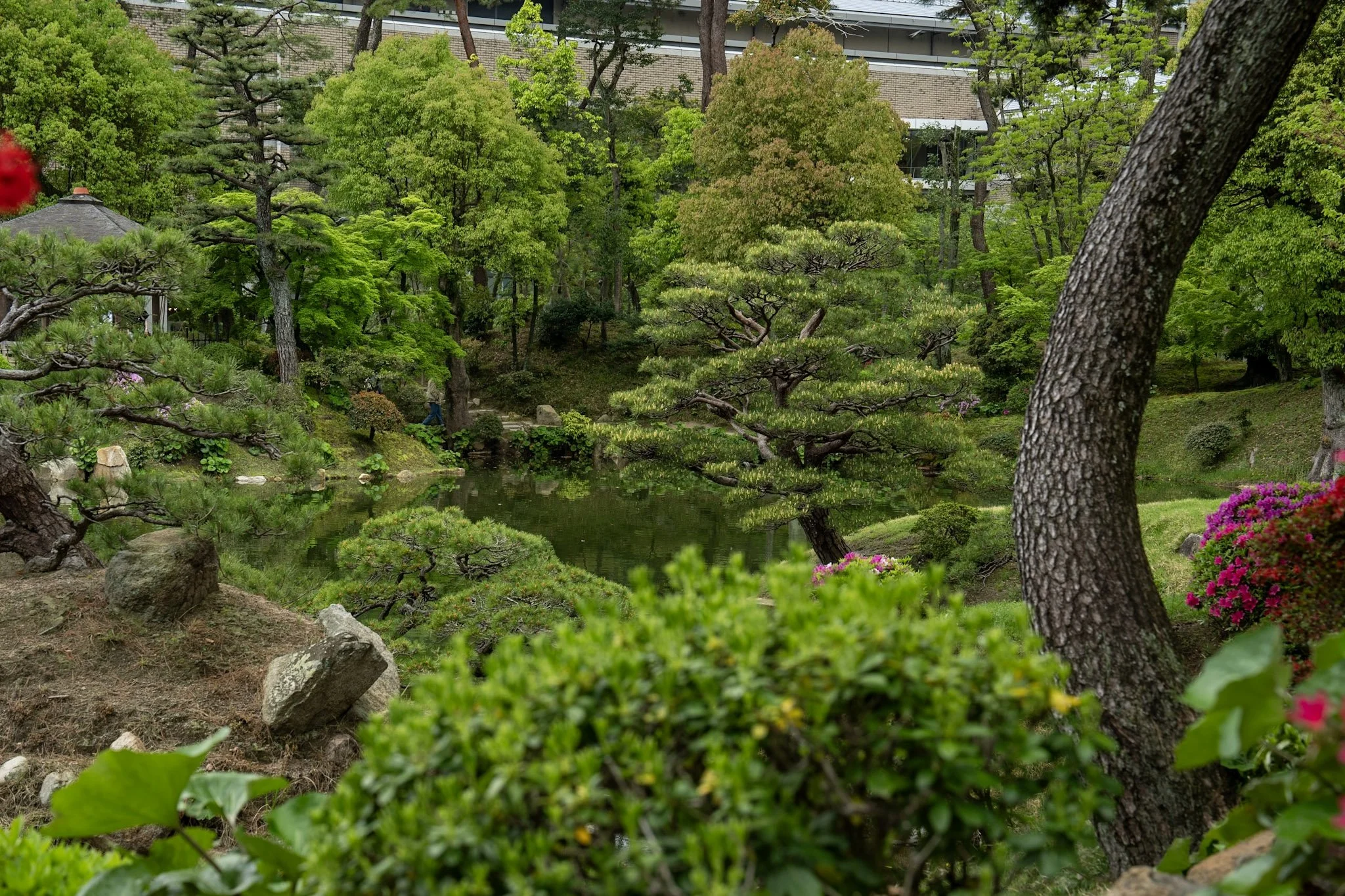 jp-1909715ab553.jpg