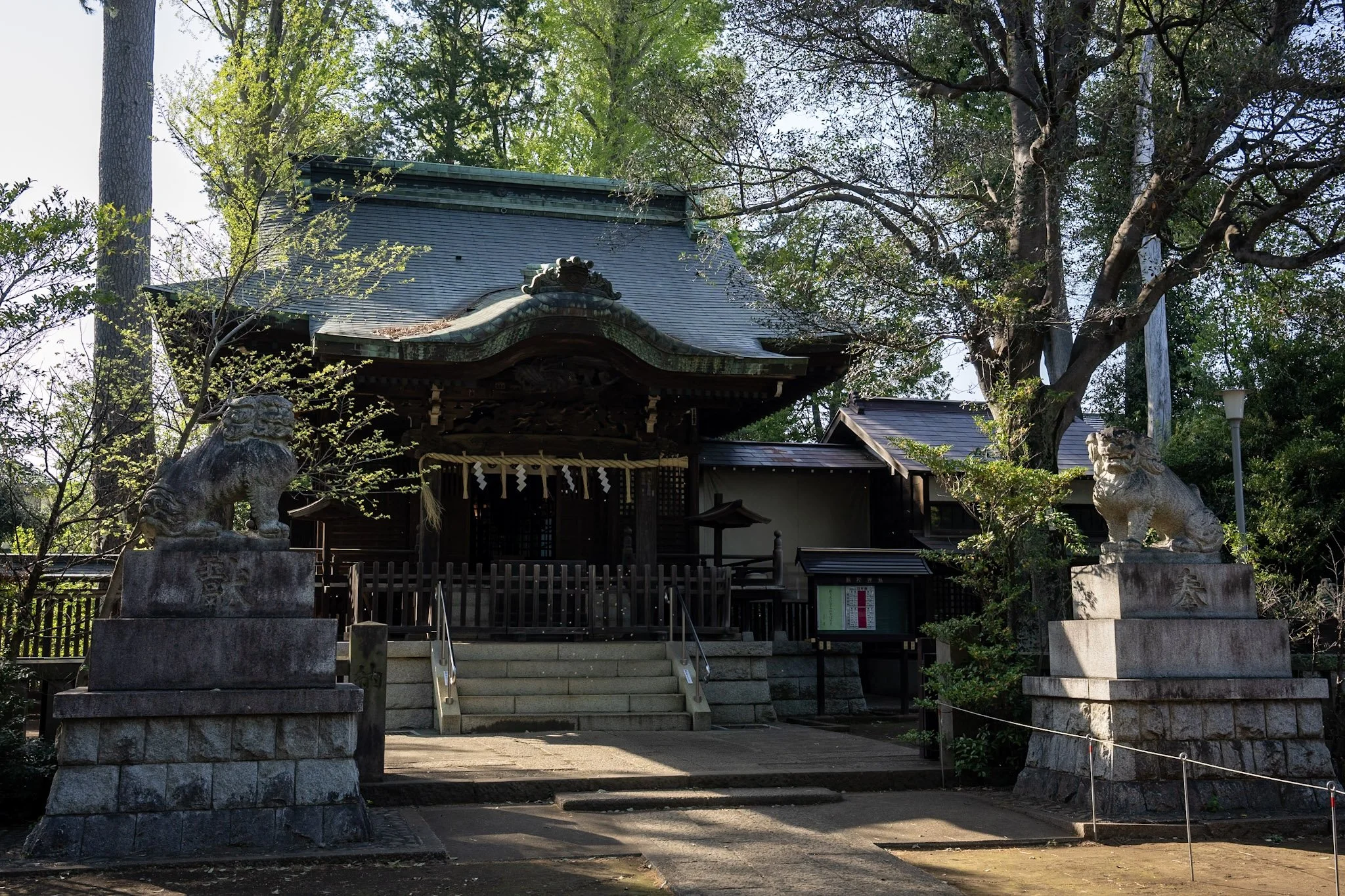 jp-a99e5986266e.jpg