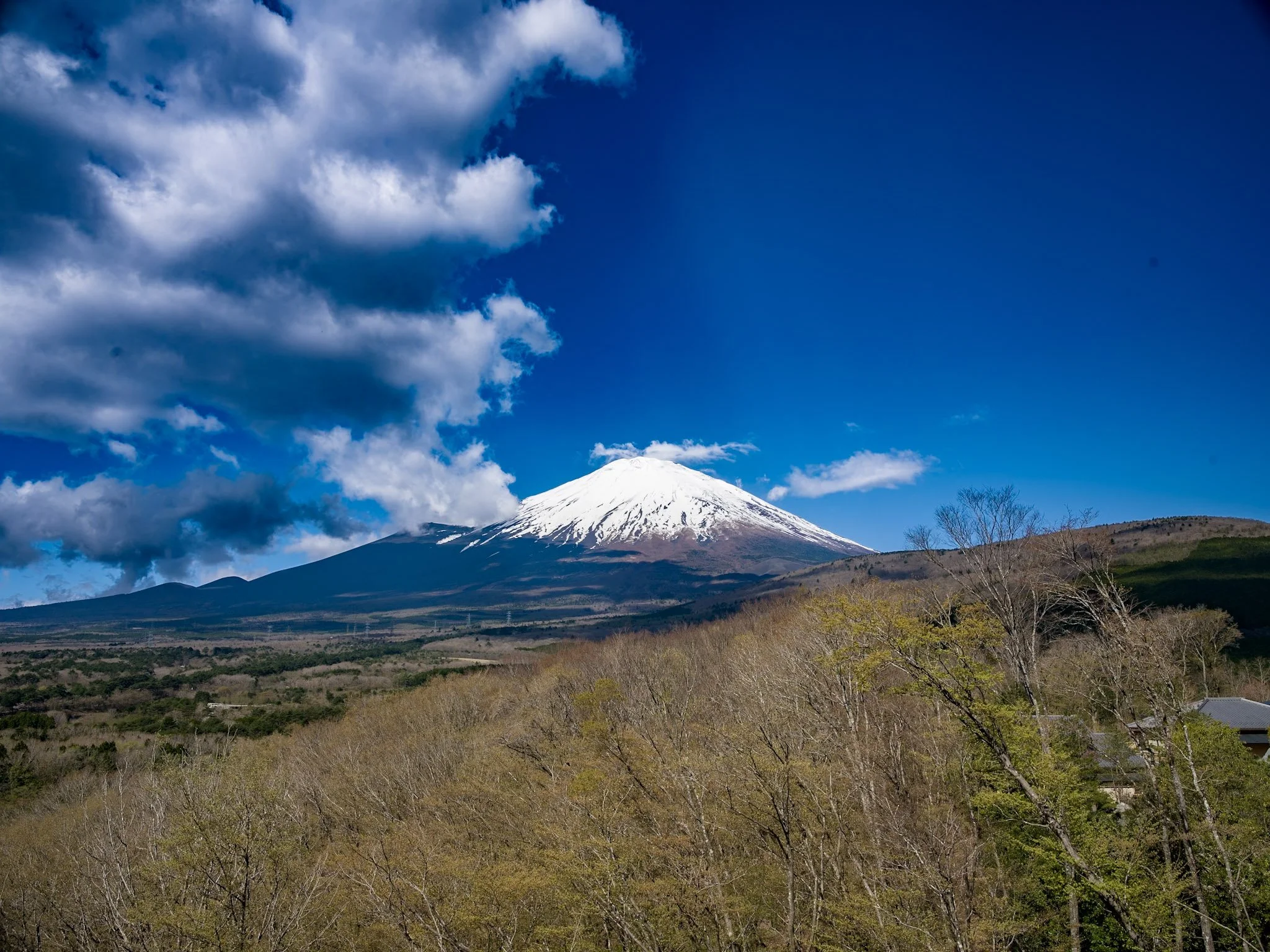 jp-f0c9301fa24a.jpg