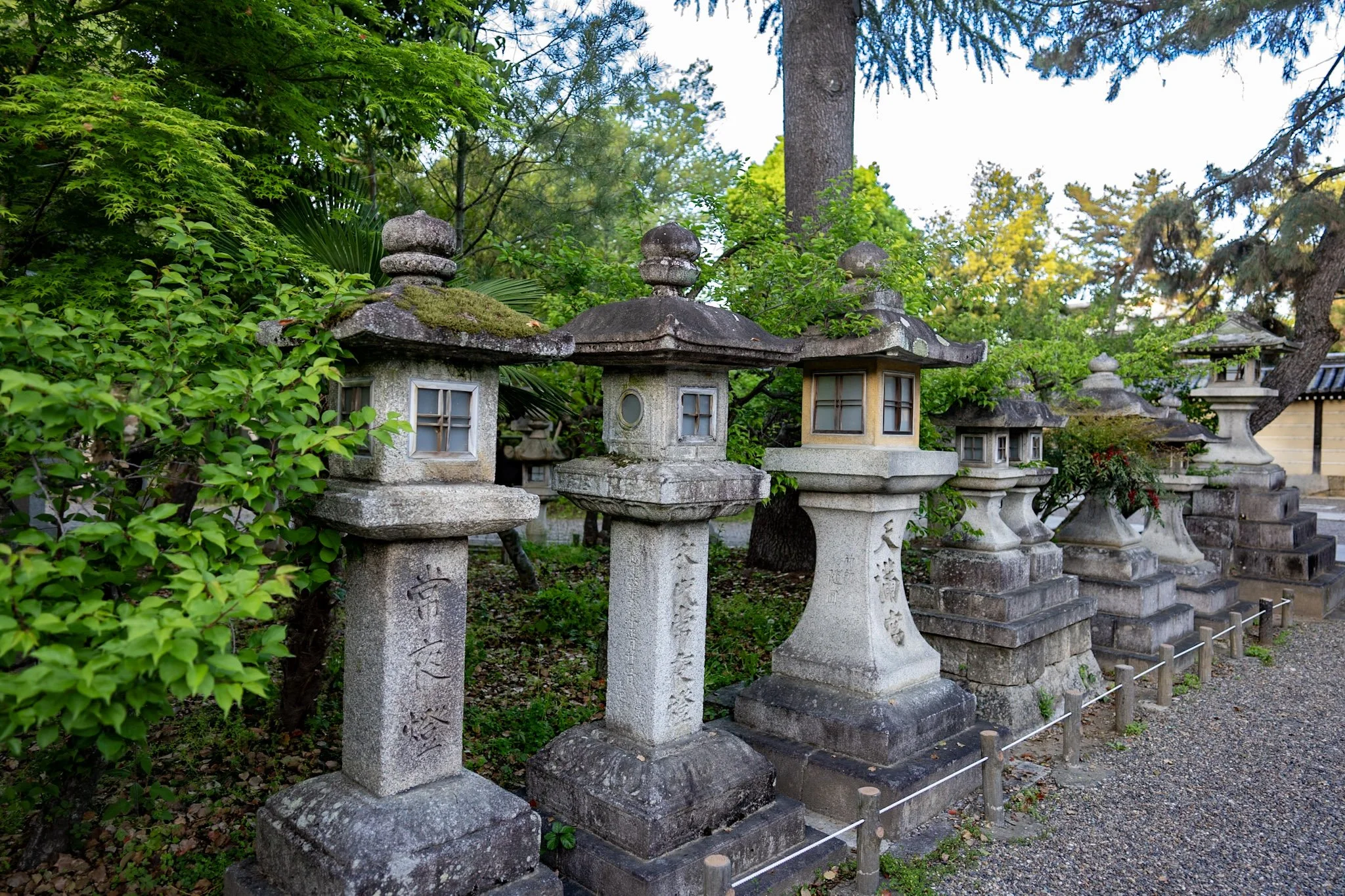 jp-f66050928ae1.jpg