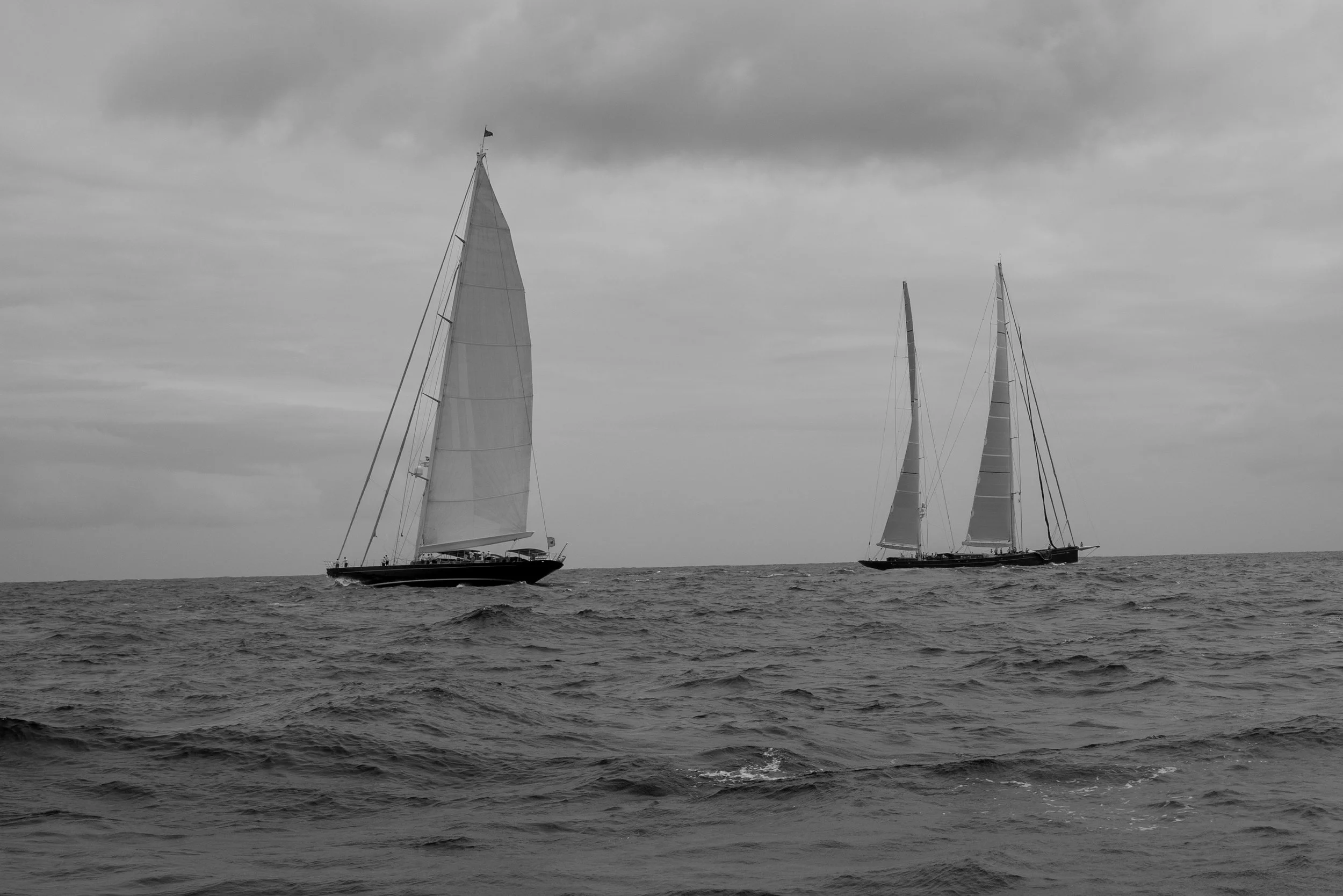 L1010453.jpg