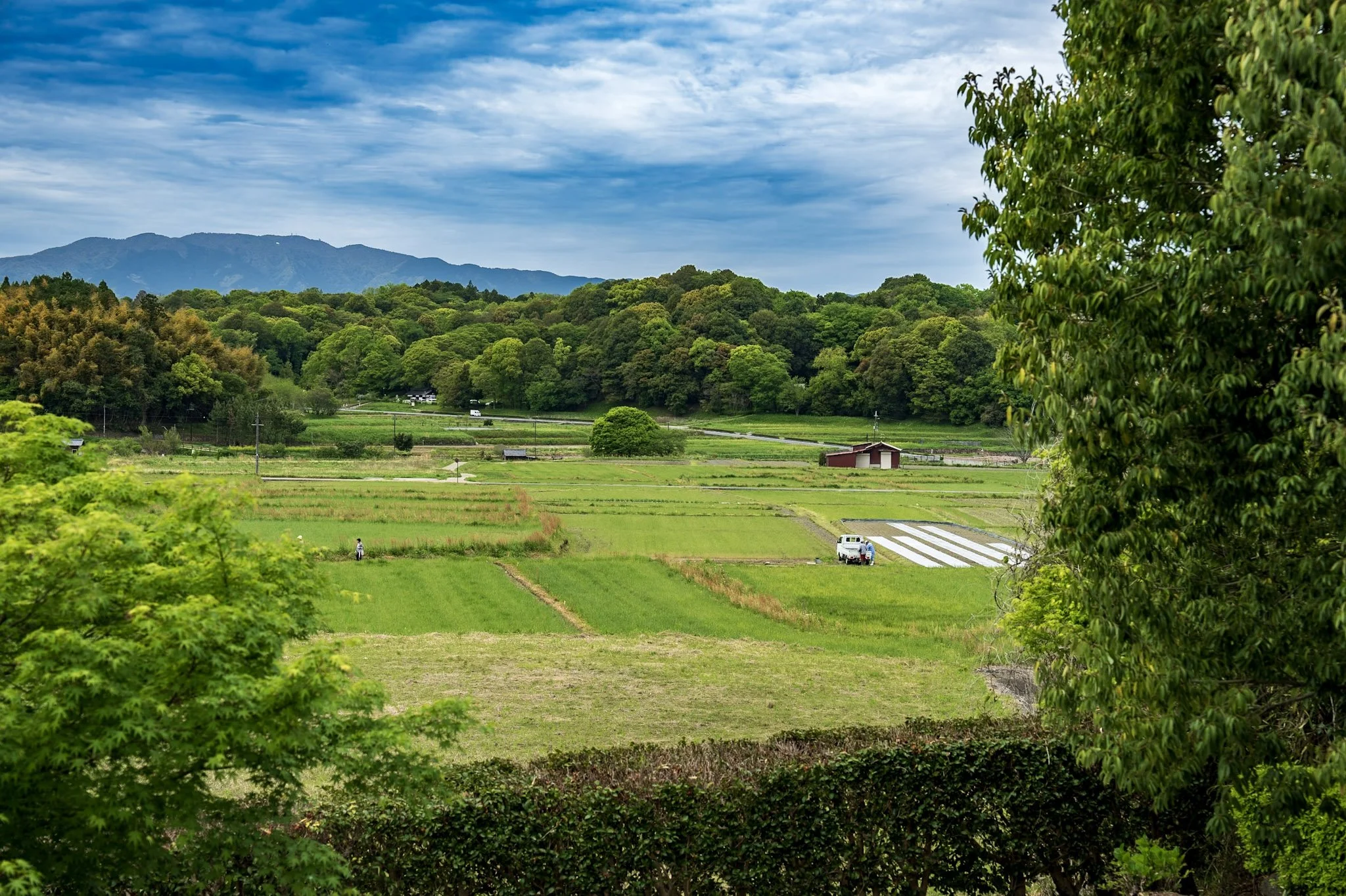 Temples, stone monuments, terraced countryside and waterfalls around Nara and Asuka