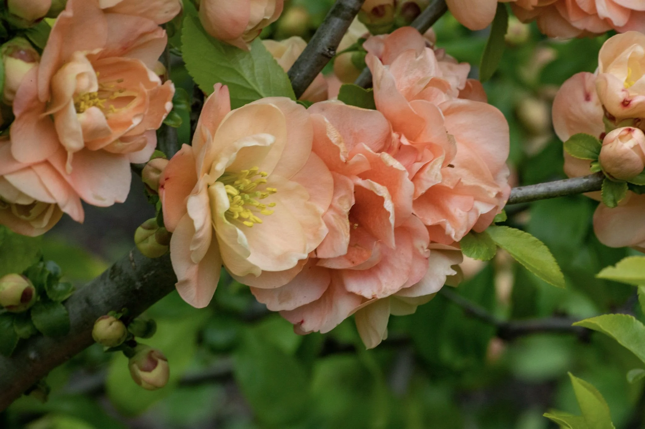 A13A8859-2.jpg
