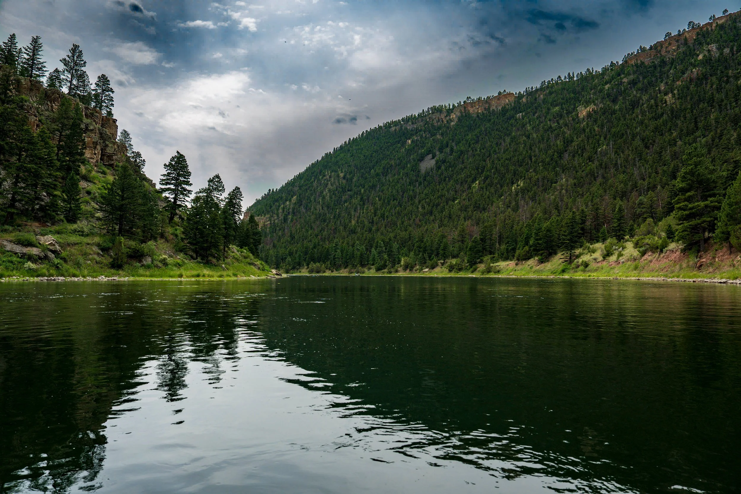 Forested bank reflected in dark water, Montana