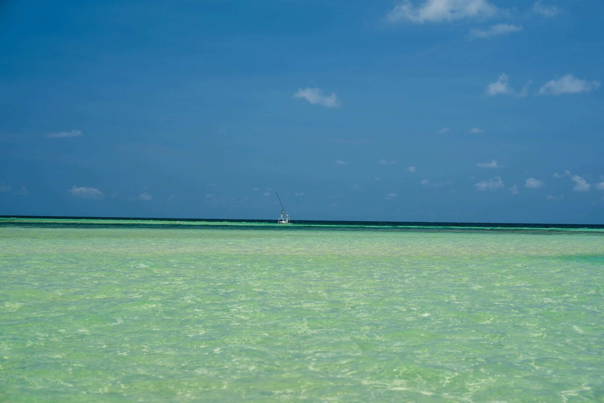 DSC09755.jpg