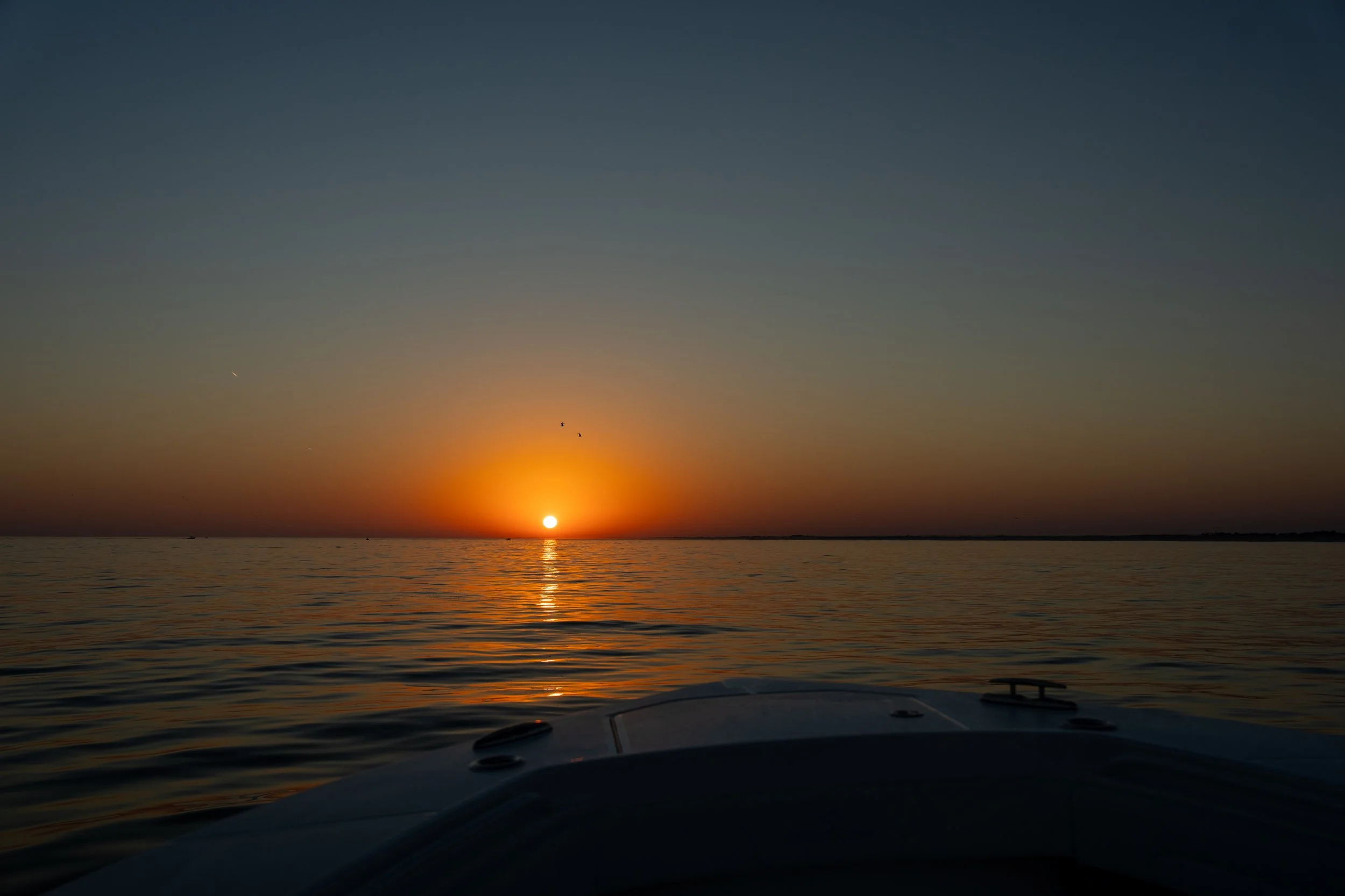 DSC07066.jpg