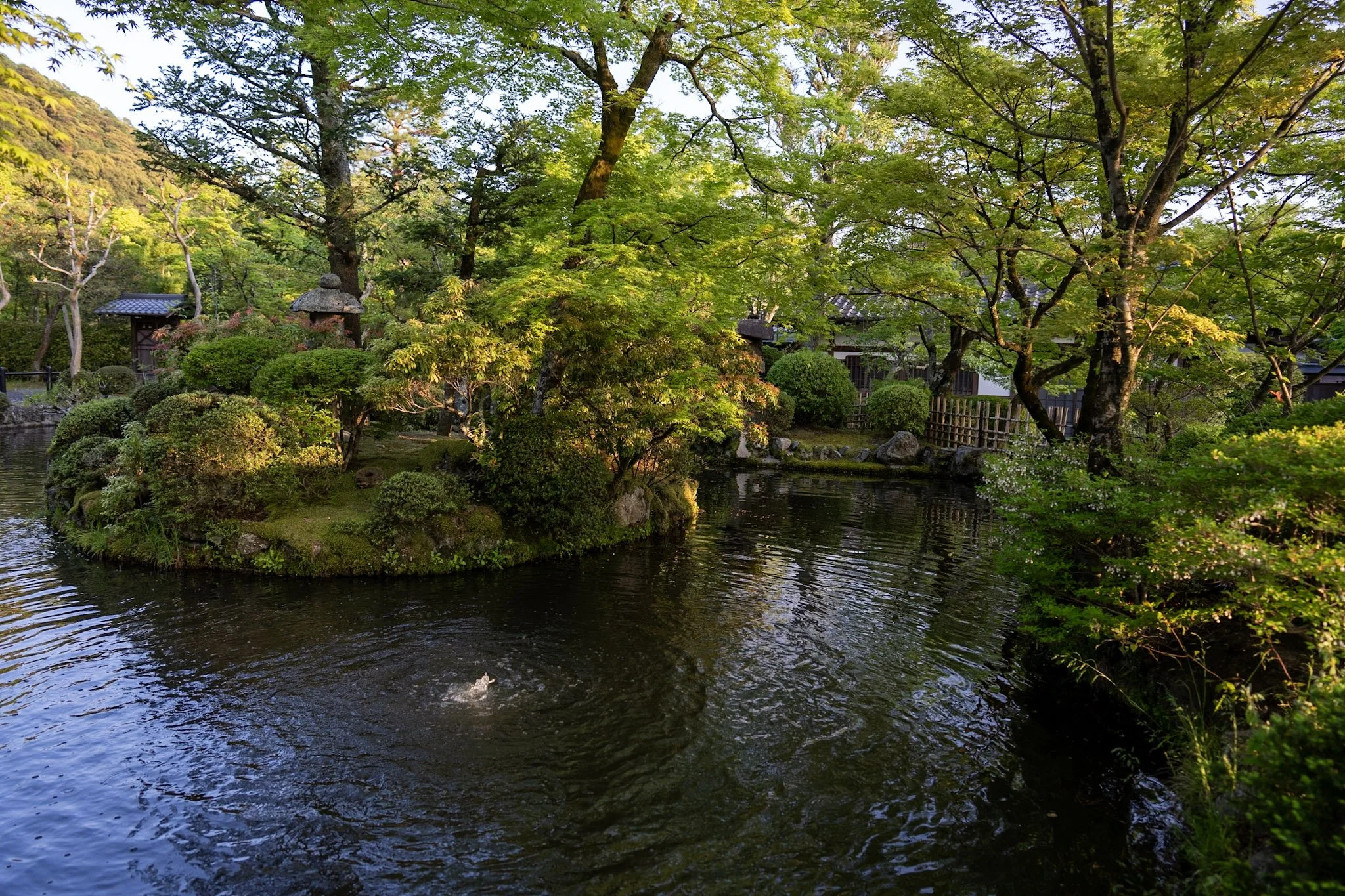 jp-bc91cc50e11d.jpg