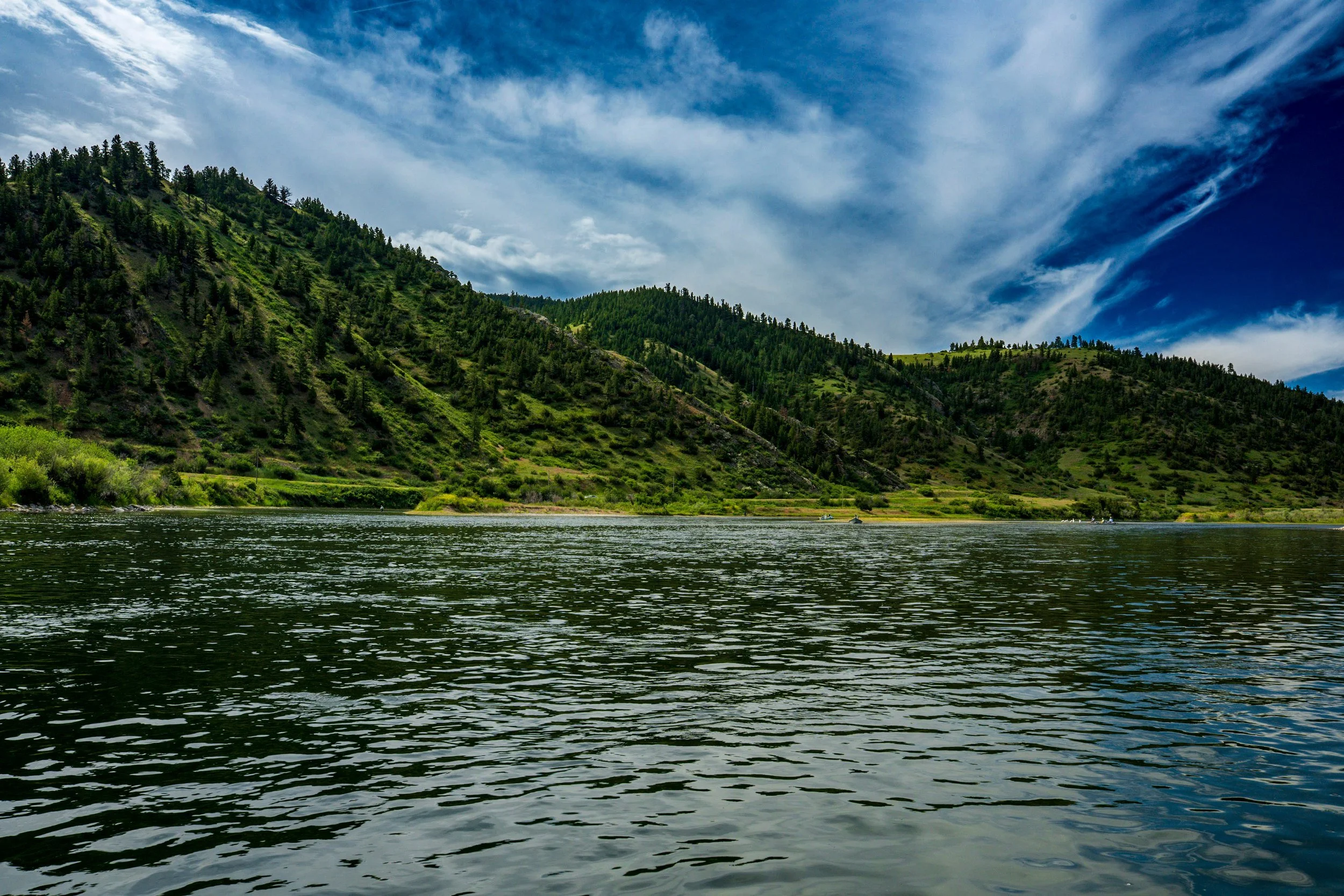 Green hillside above the river, Montana
