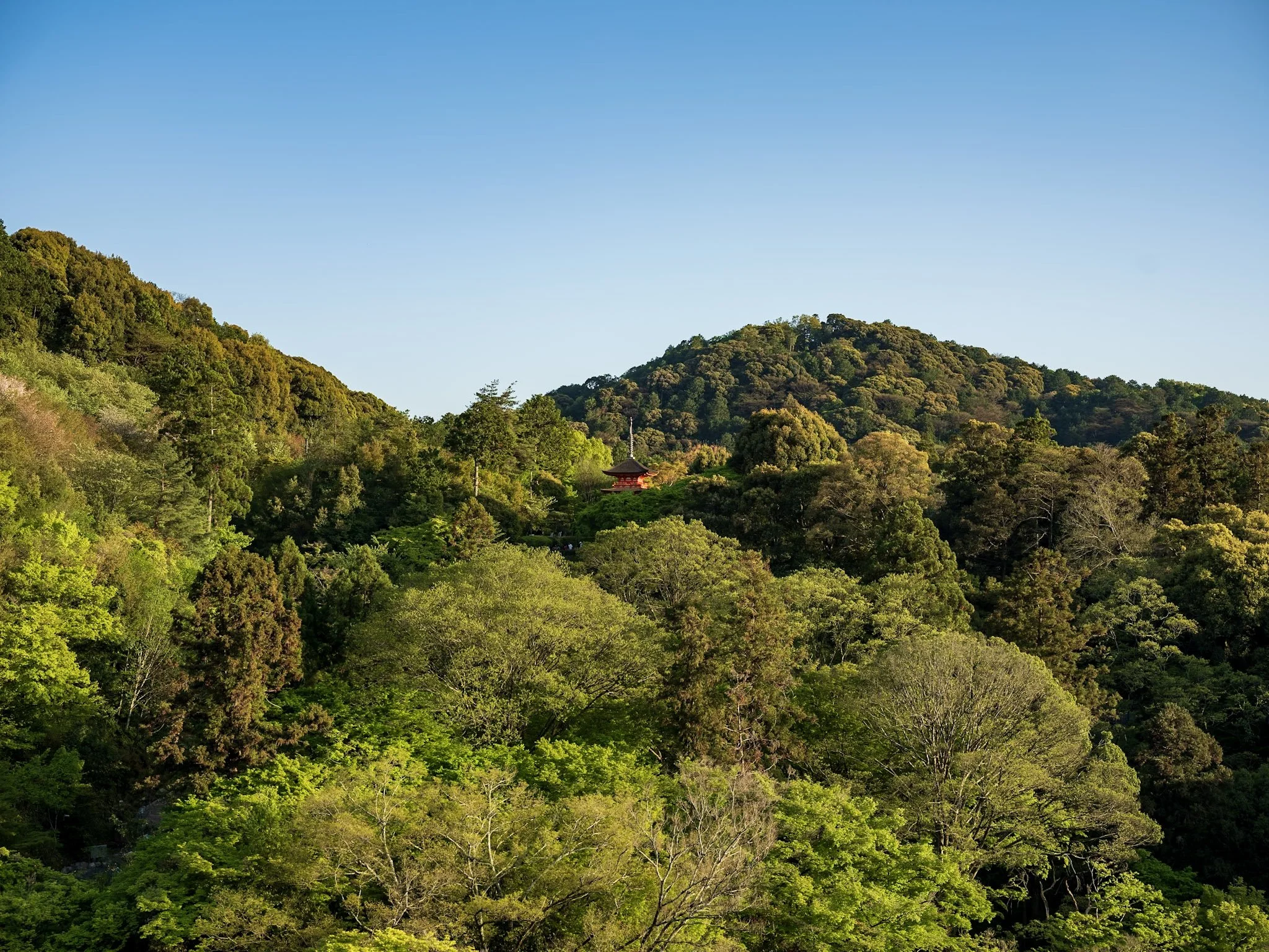 jp-5d9725af6208.jpg