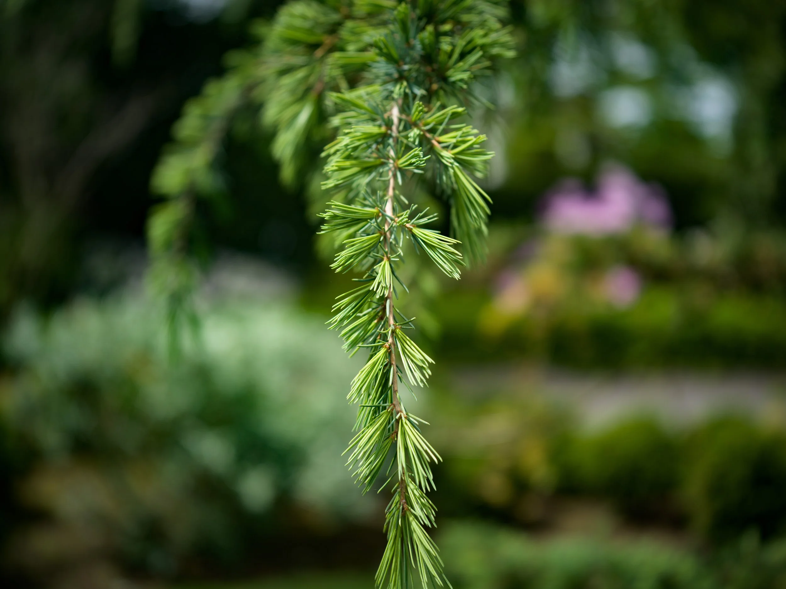 B0001163.jpg