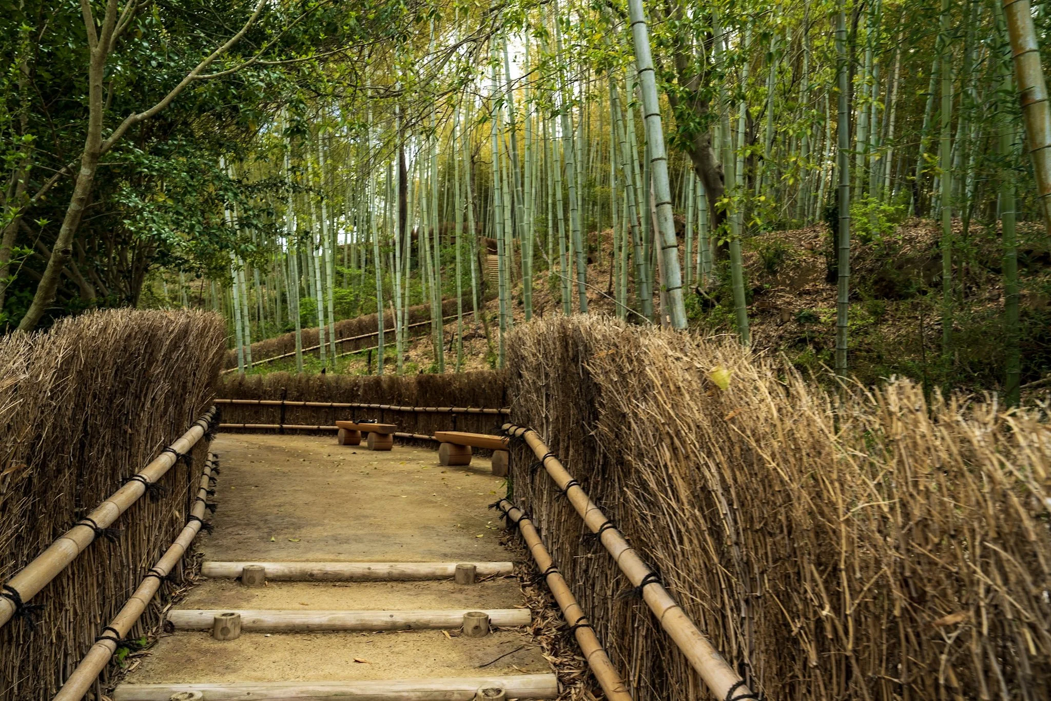 Temples, stone monuments, terraced countryside and waterfalls around Nara and Asuka