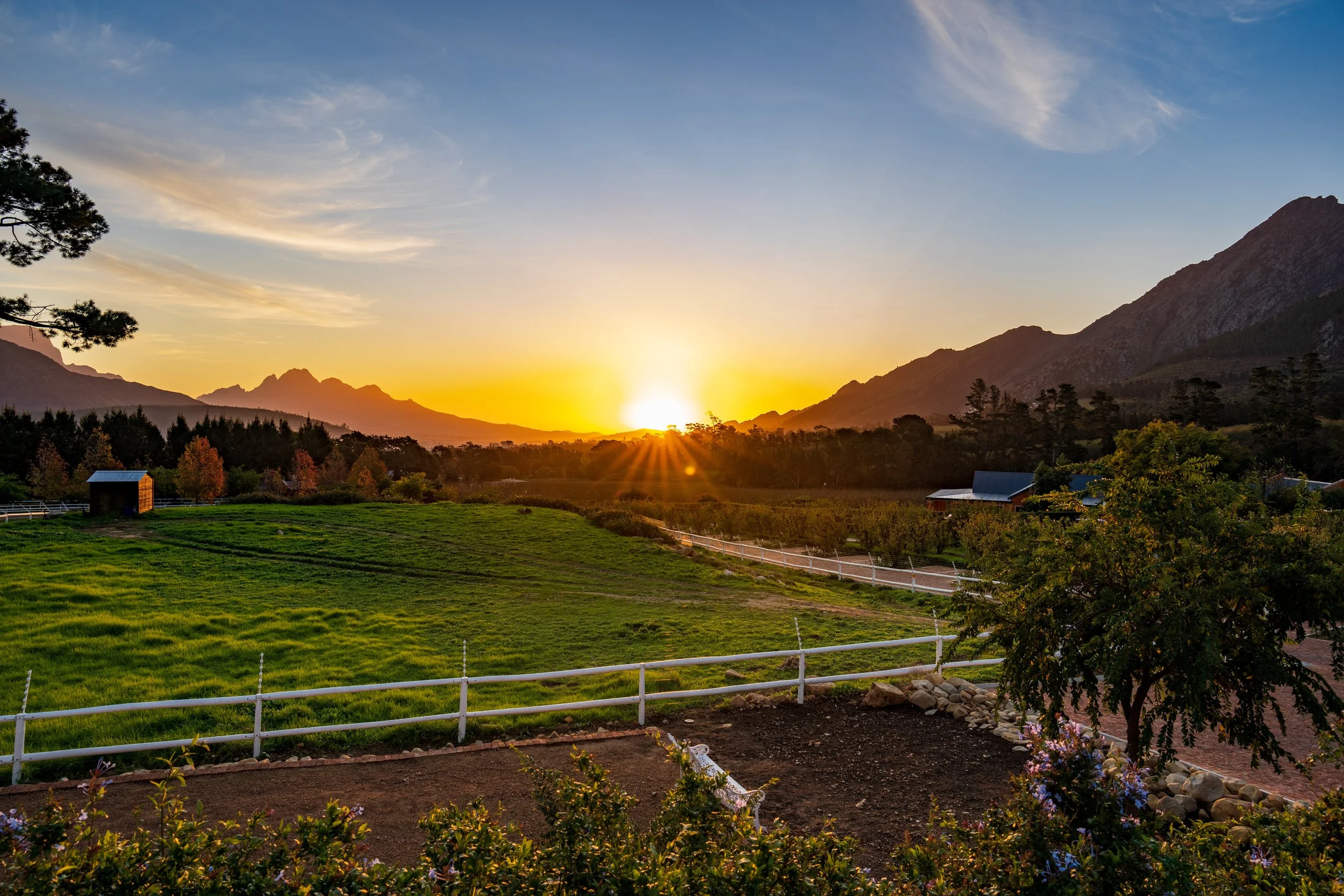 Cape Winelands