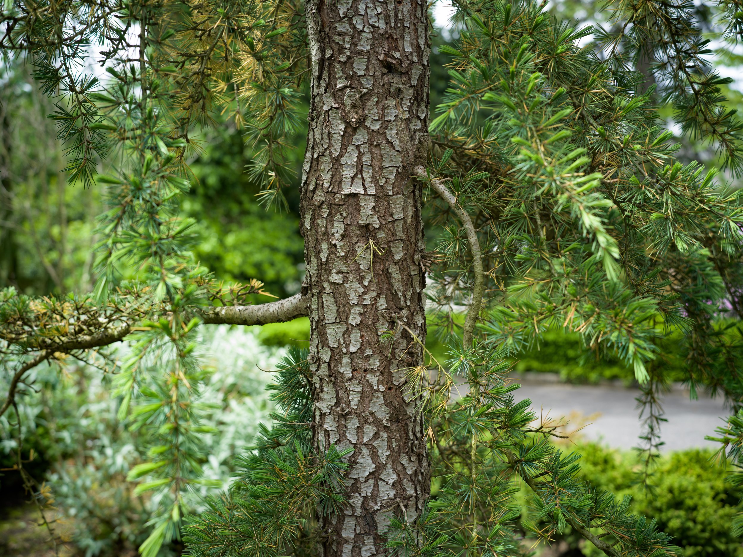 B0001160.jpg