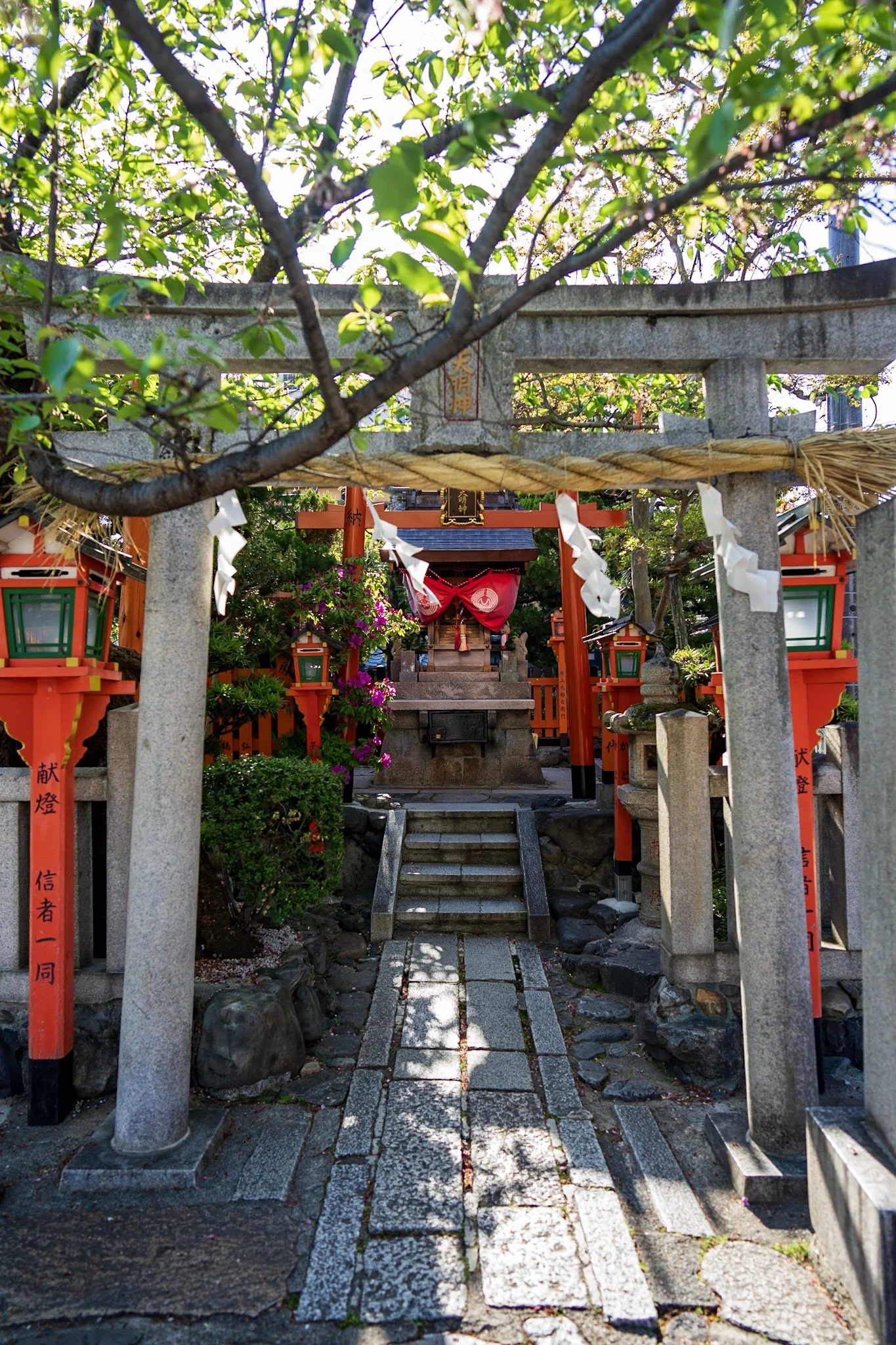 jp-3c38b36904e1.jpg