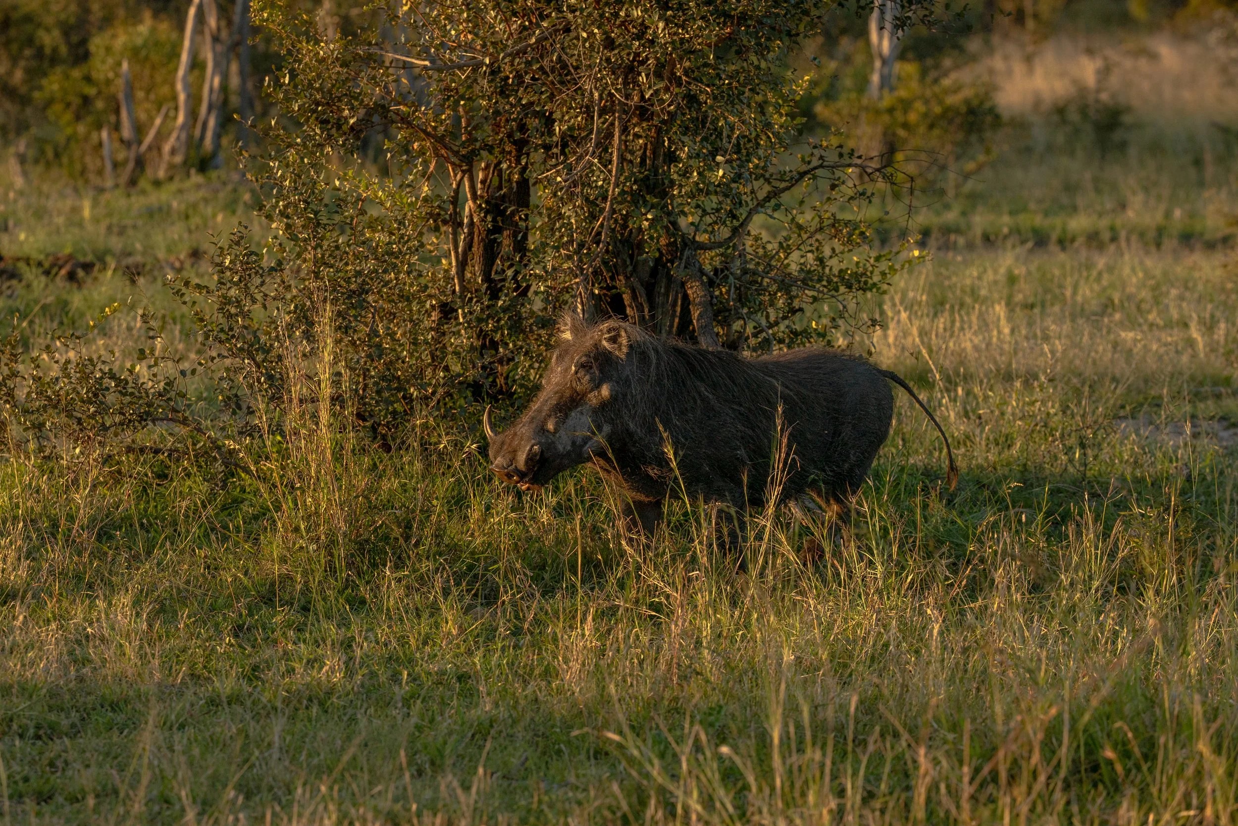 C02I7489.jpg