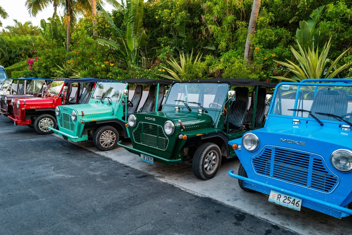 Island & Town Life