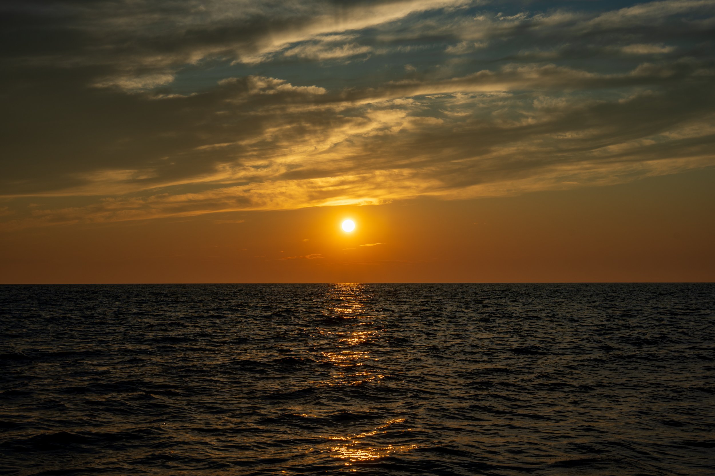 DSC05385.jpg
