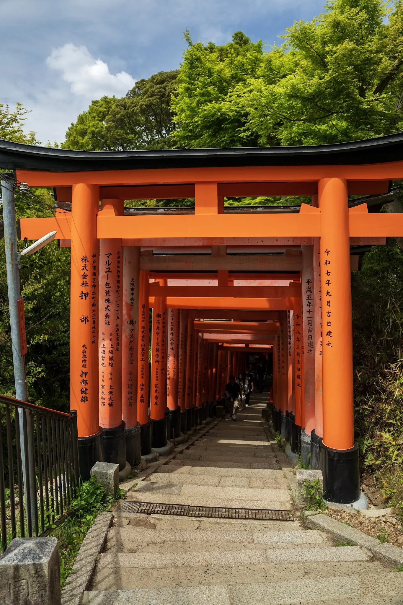 jp-9d4308837f72.jpg