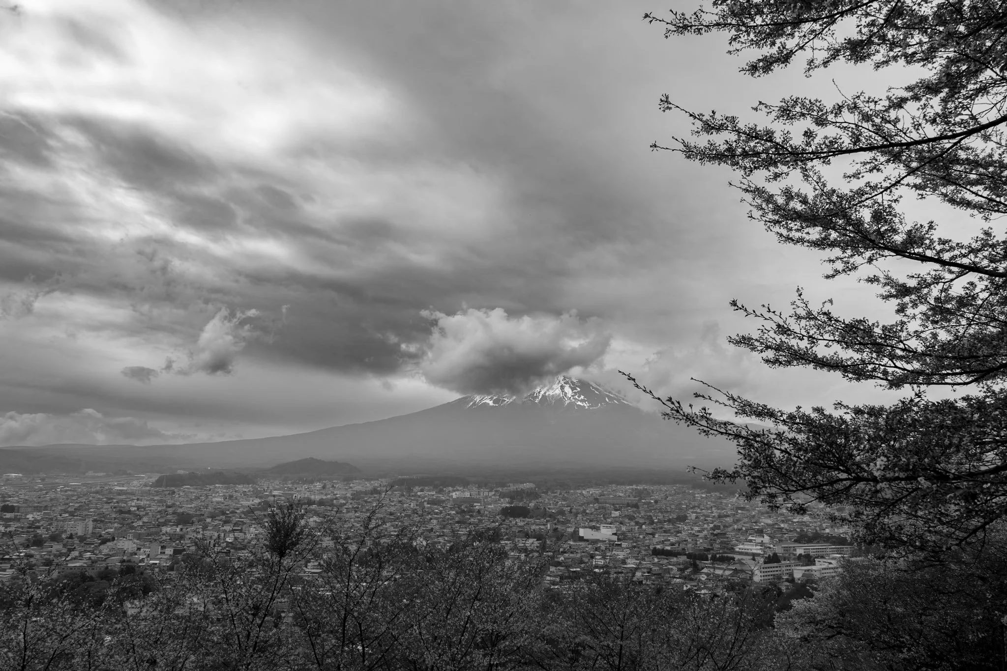 jp-c8c42e79c074.jpg