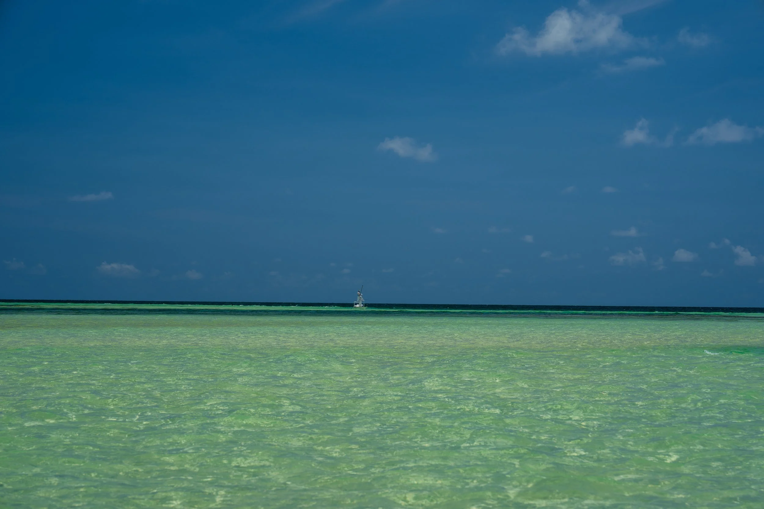 DSC09753.jpg