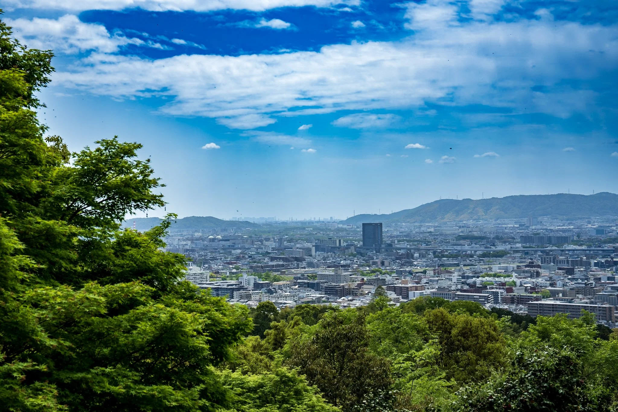 jp-16059094b5ce.jpg
