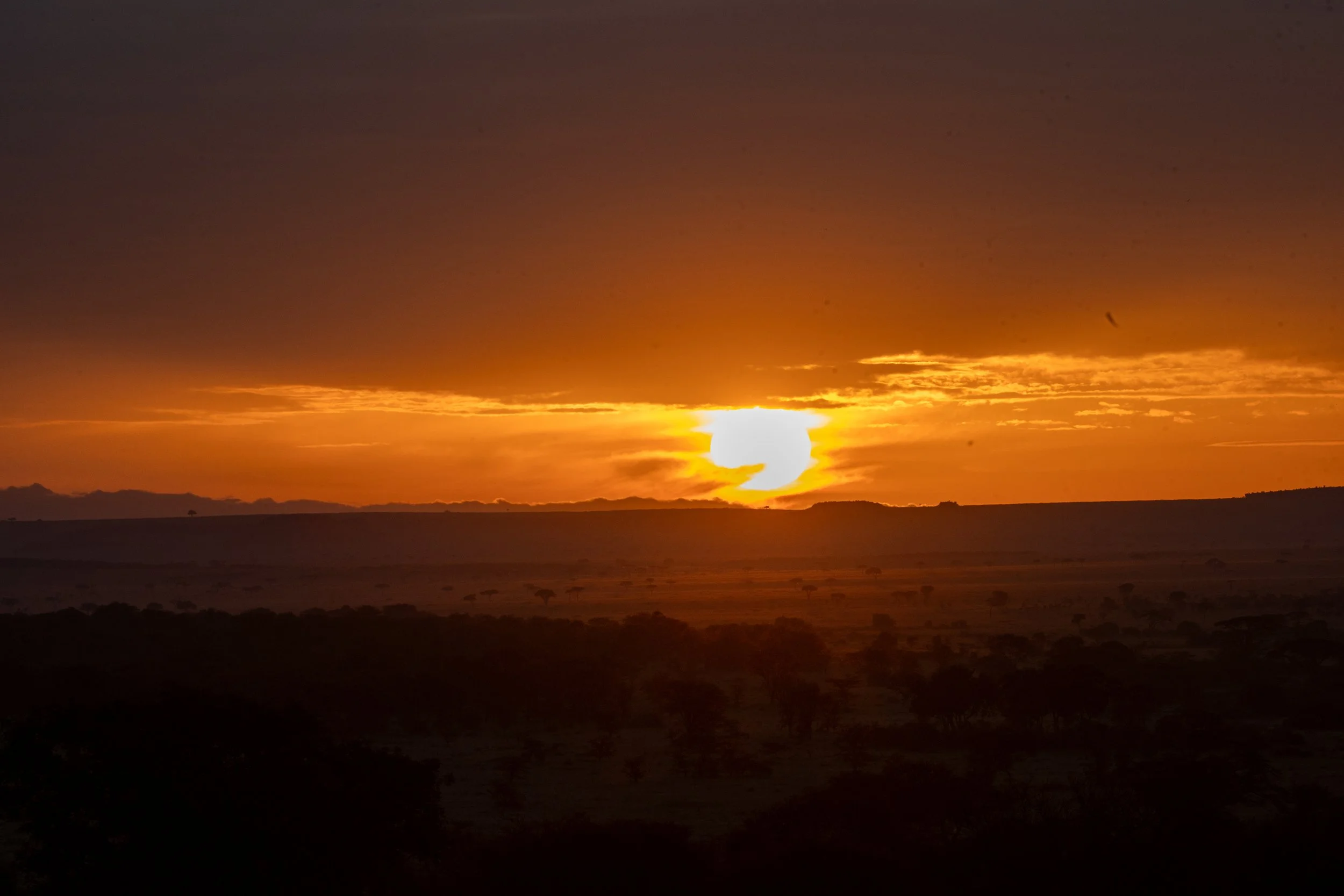 C02I8534.jpg