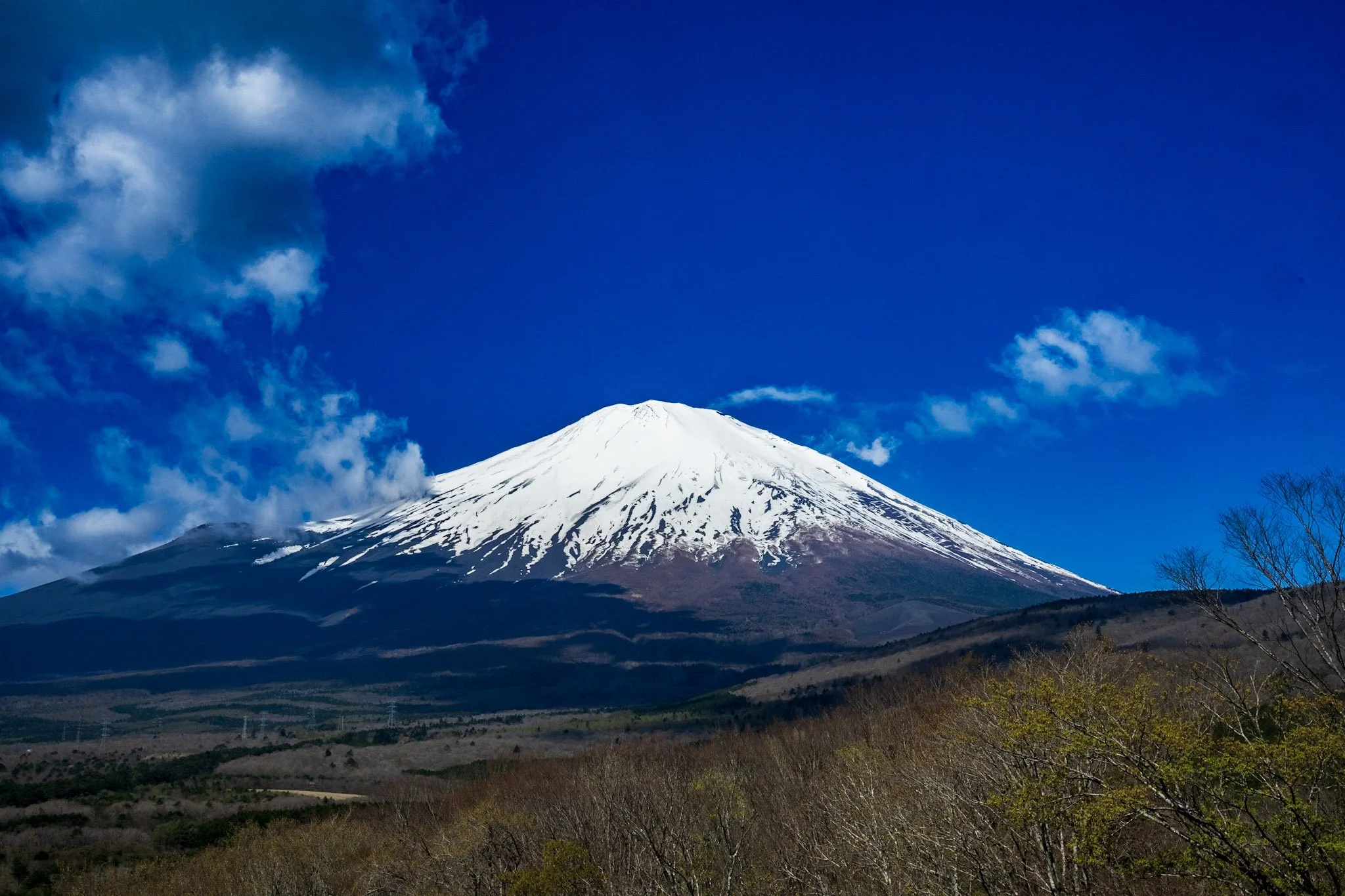 jp-738503d8d582.jpg
