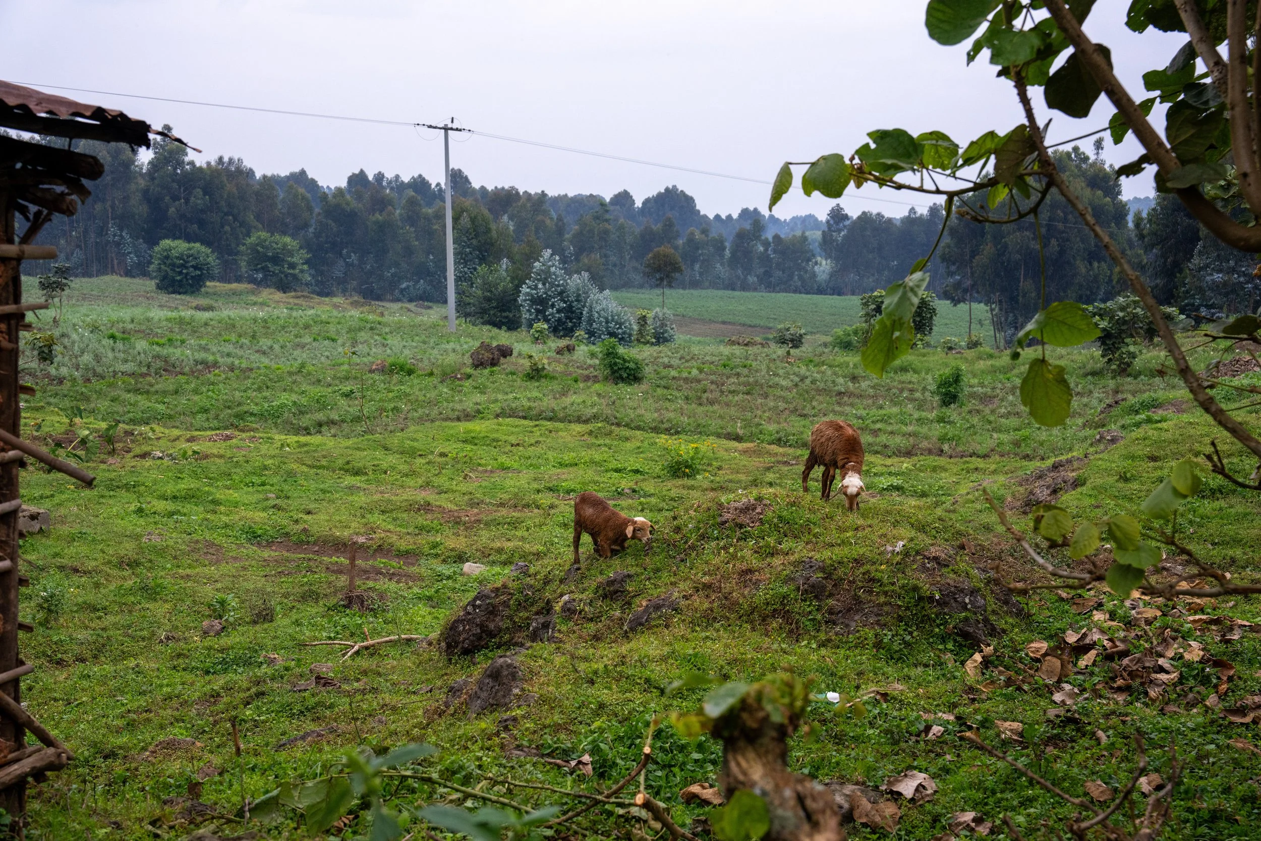 DSC05748.jpg
