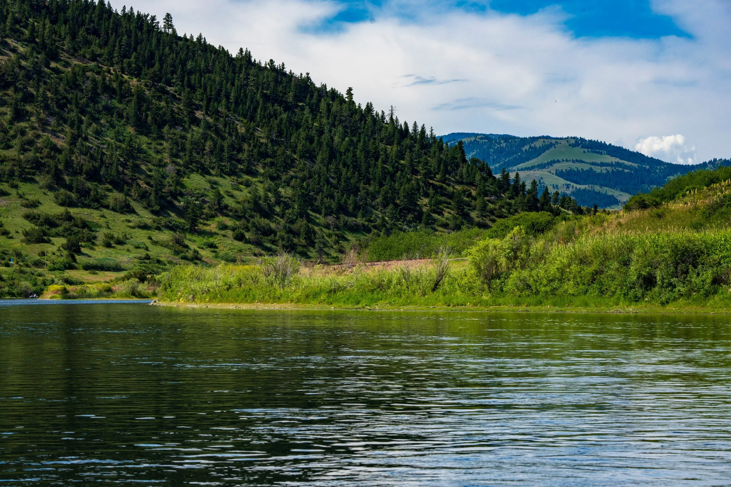Forested hills mirrored in the river, Montana