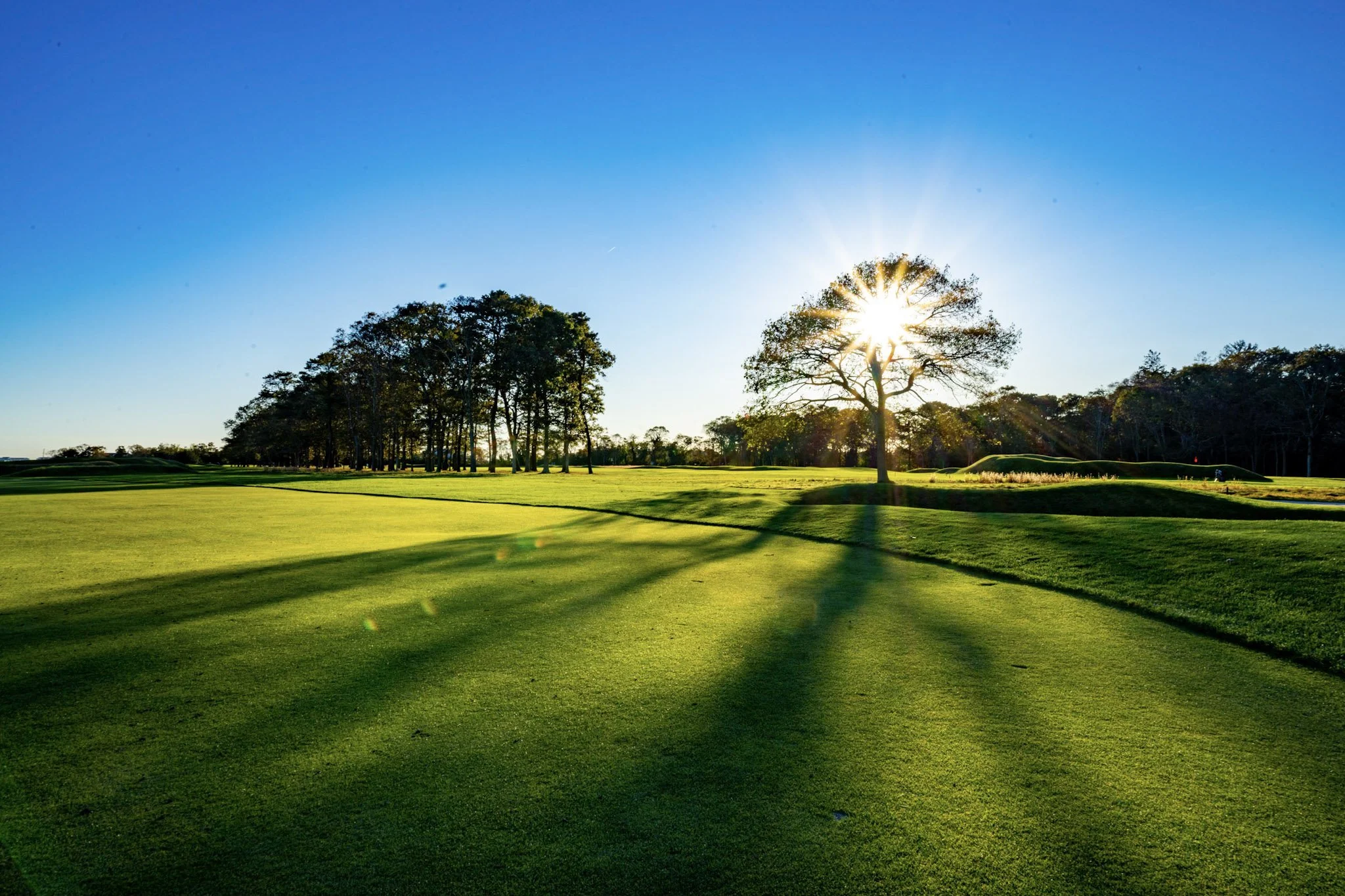 Golf course fairway in low sun with long tree shadows.