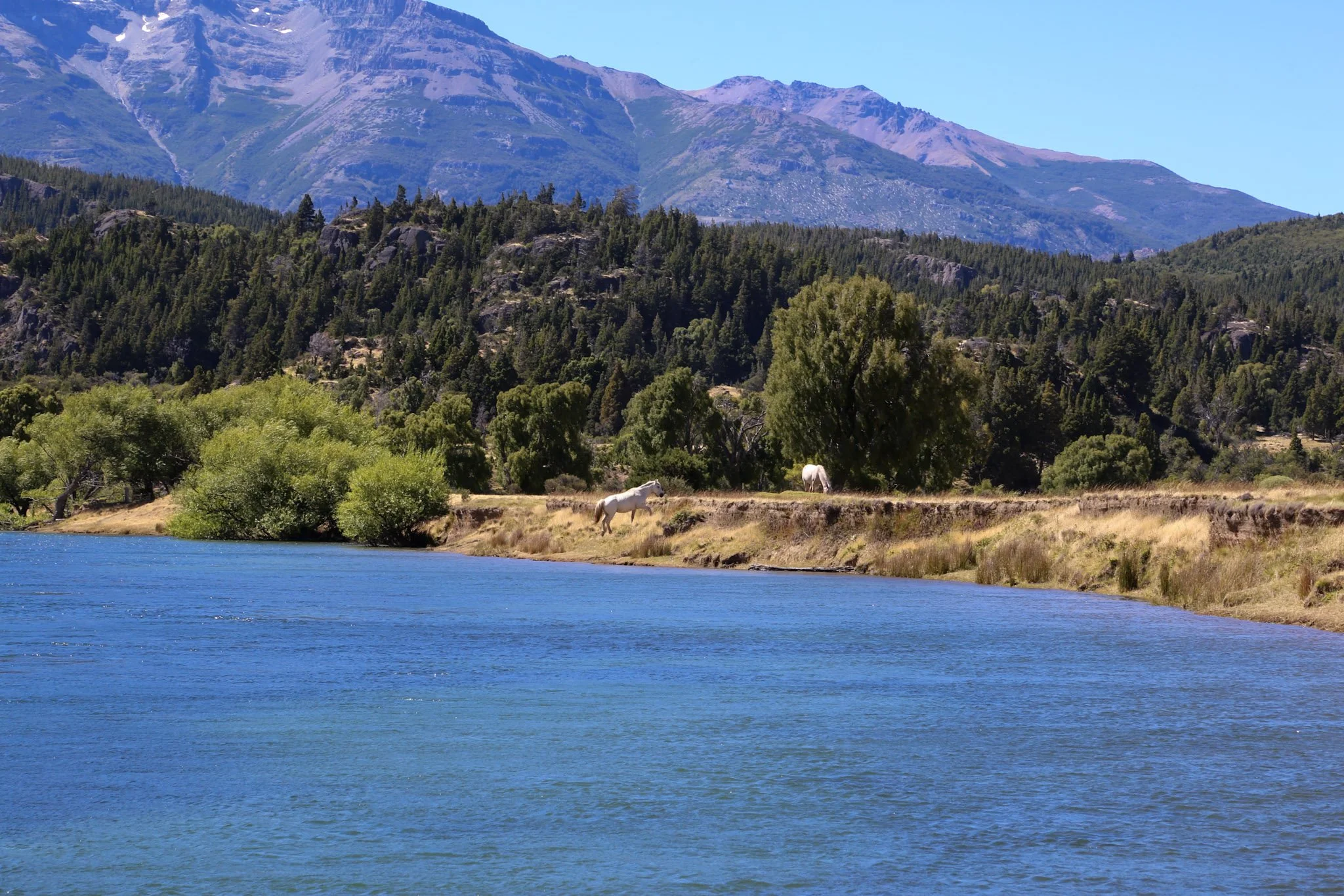 Mirror-calm lakes and still rivers in Patagonia