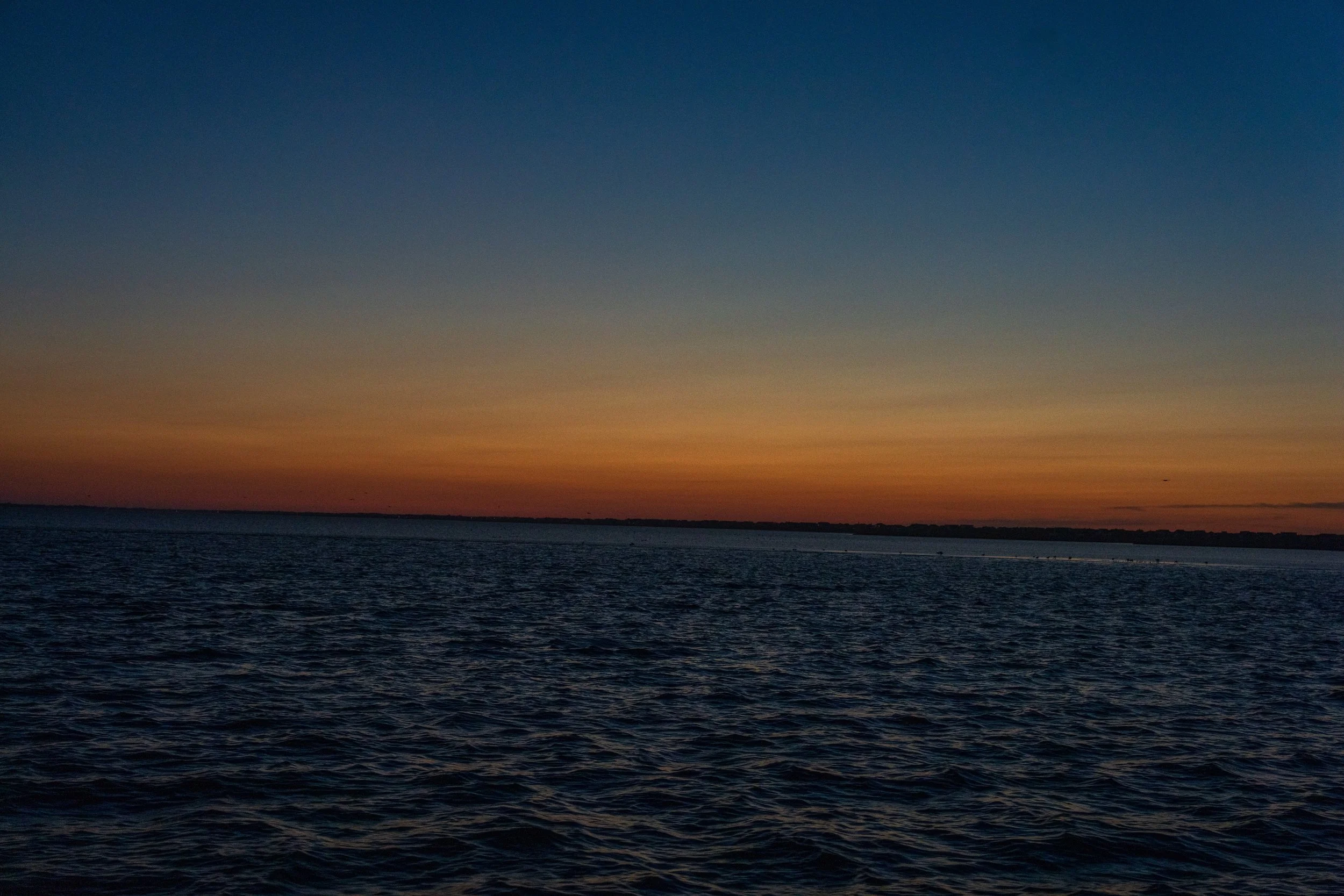 DSC07164.jpg