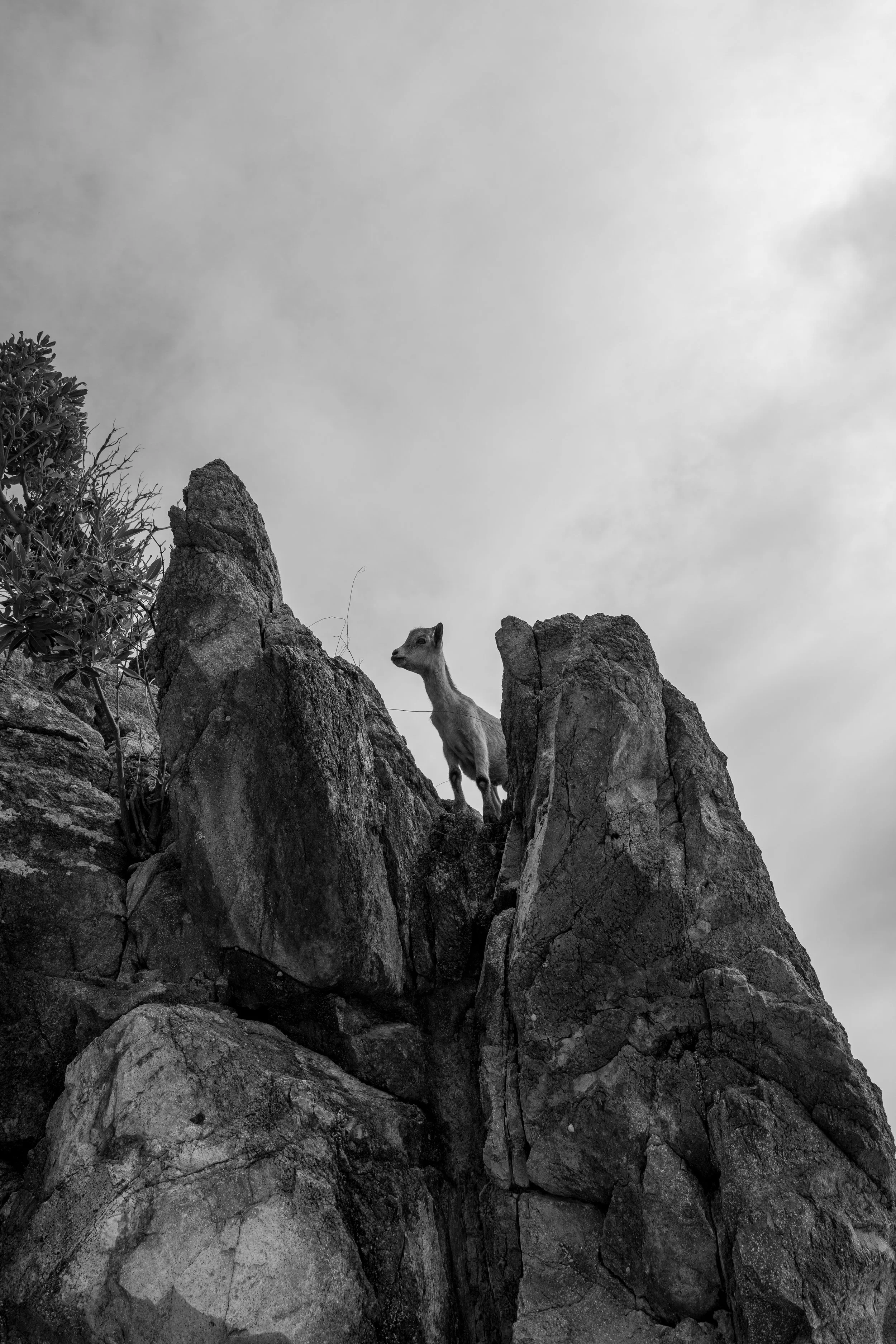 L1010702.jpg